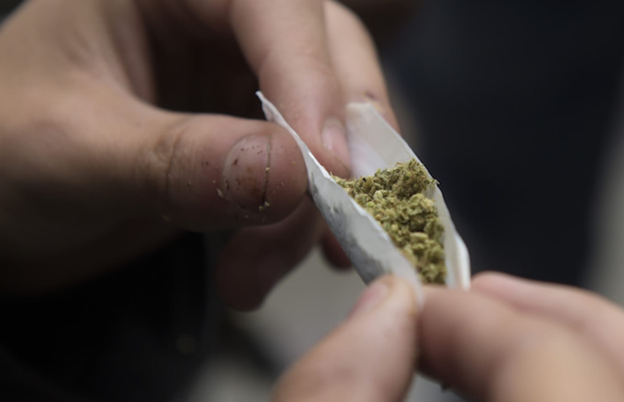 Activist rolls a joint during a protest.