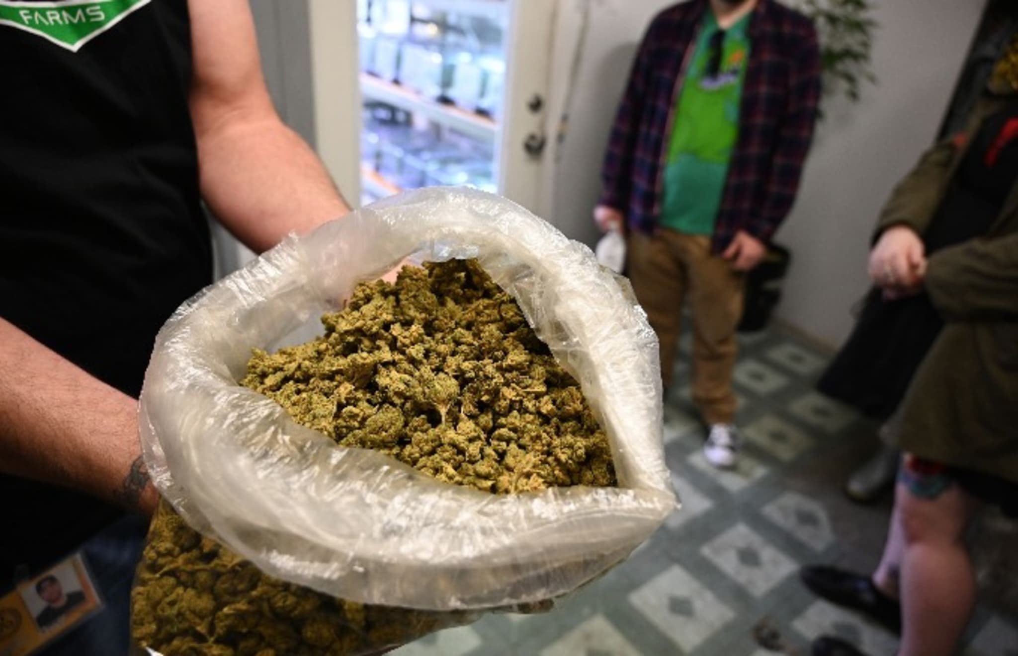 cannabis