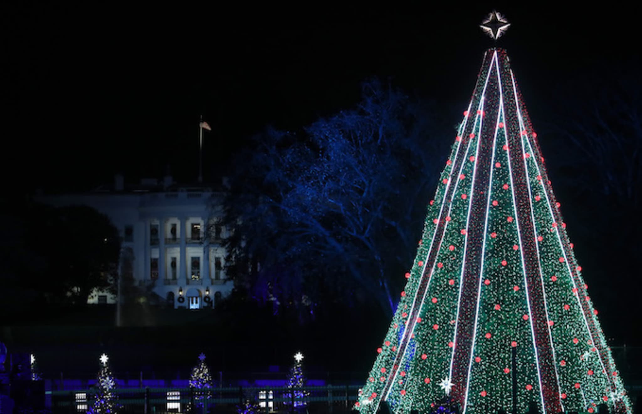 man climbs national christmas tree