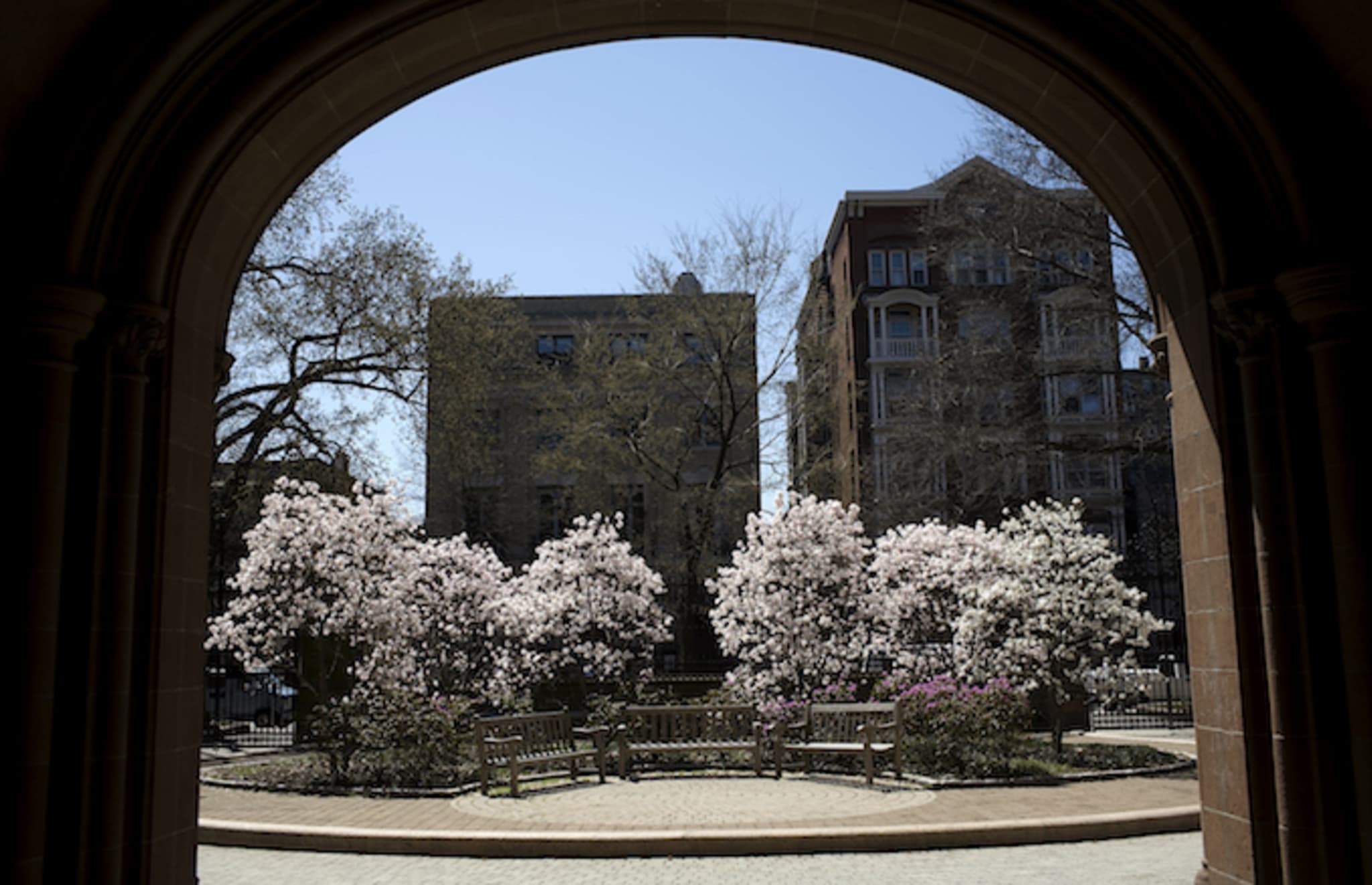 Yale University