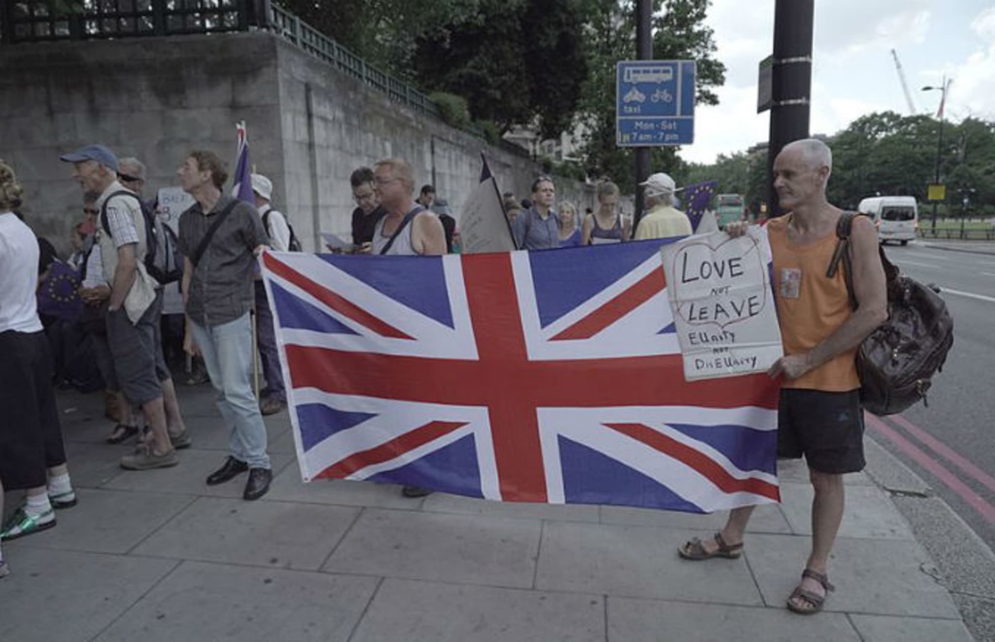 Brexit protesters