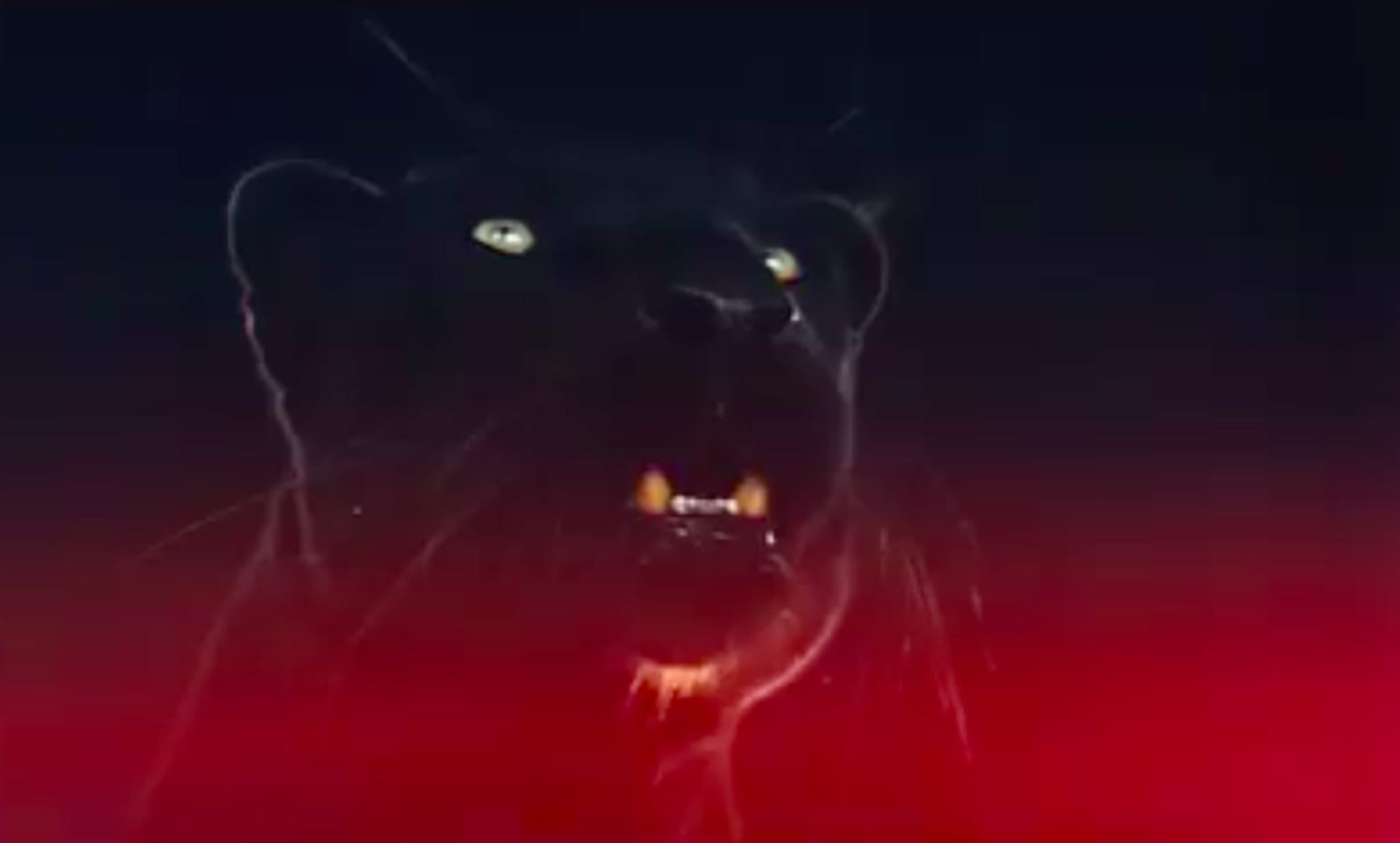 Screenshot from The Weeknd's 'Mania' Trailer