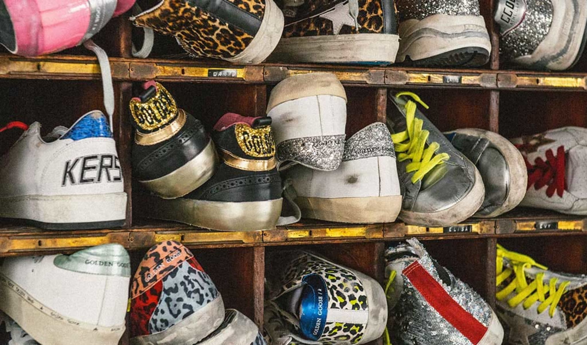 golden goose