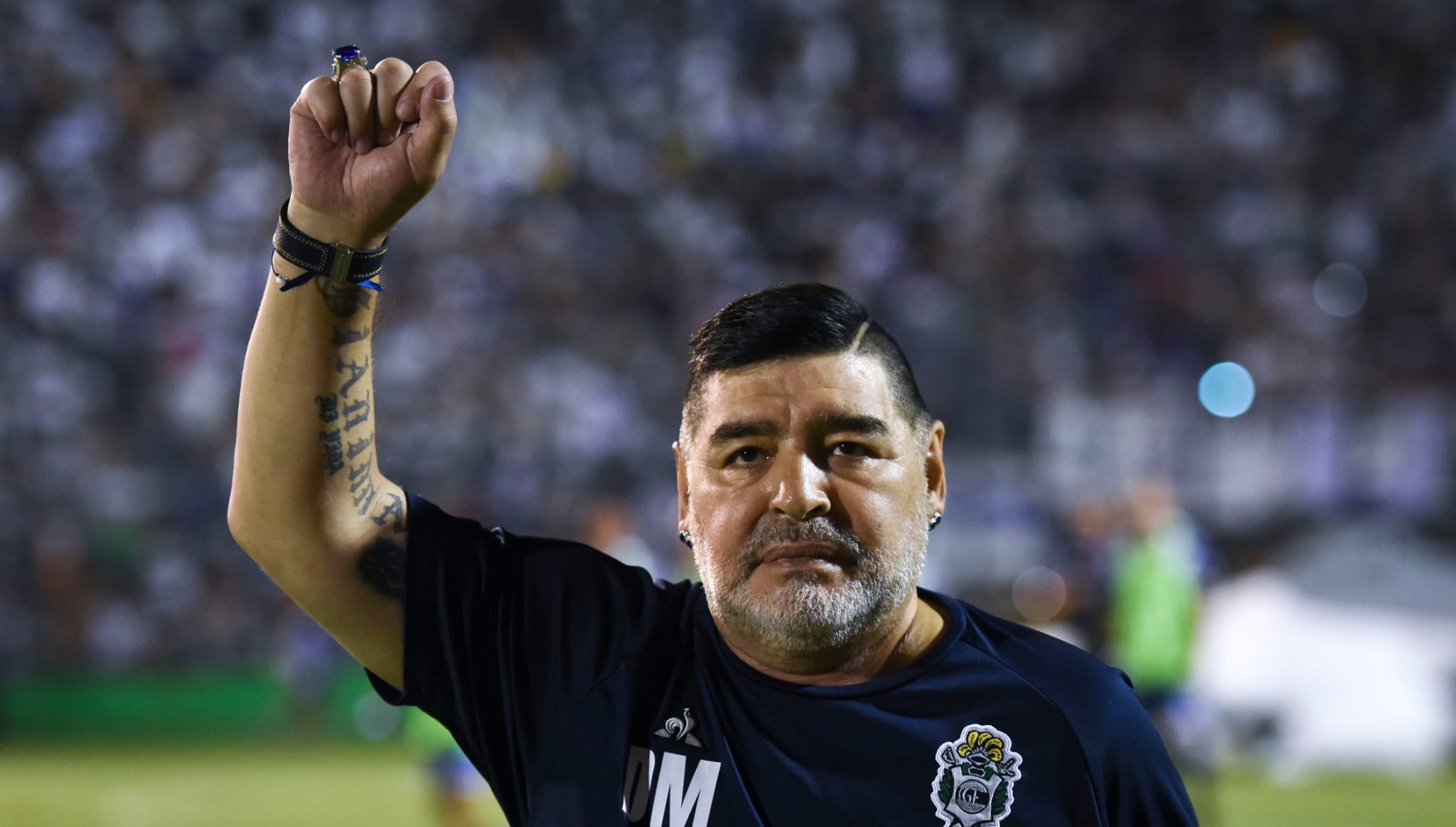diego