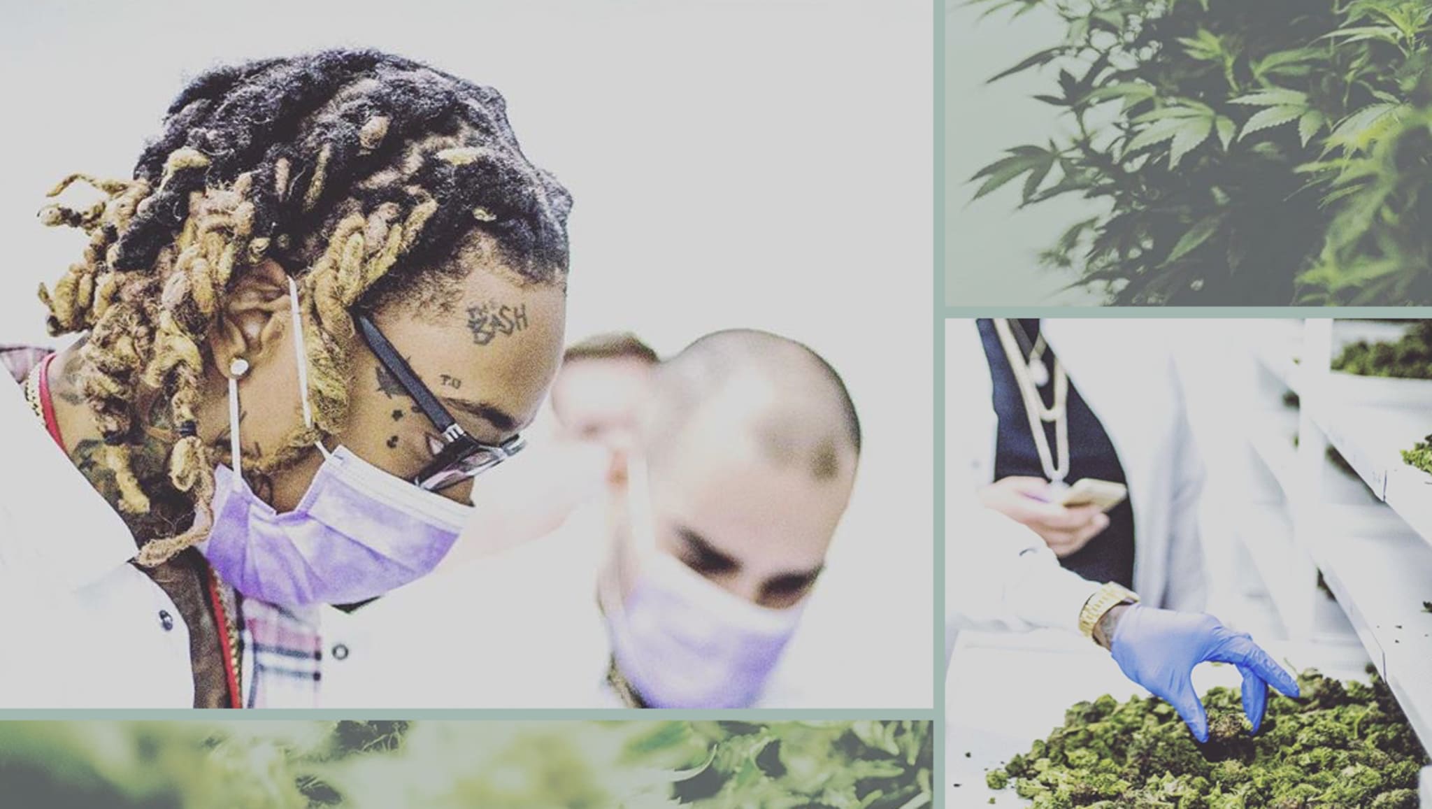 Collage of Wiz at Reef