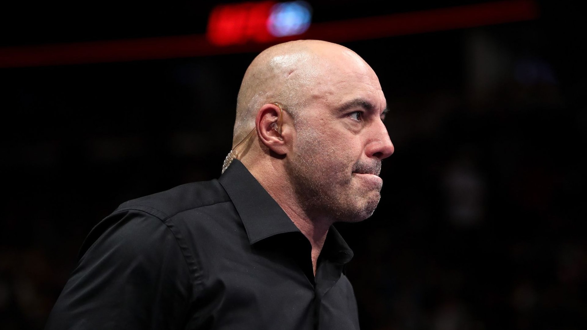 joe rogan