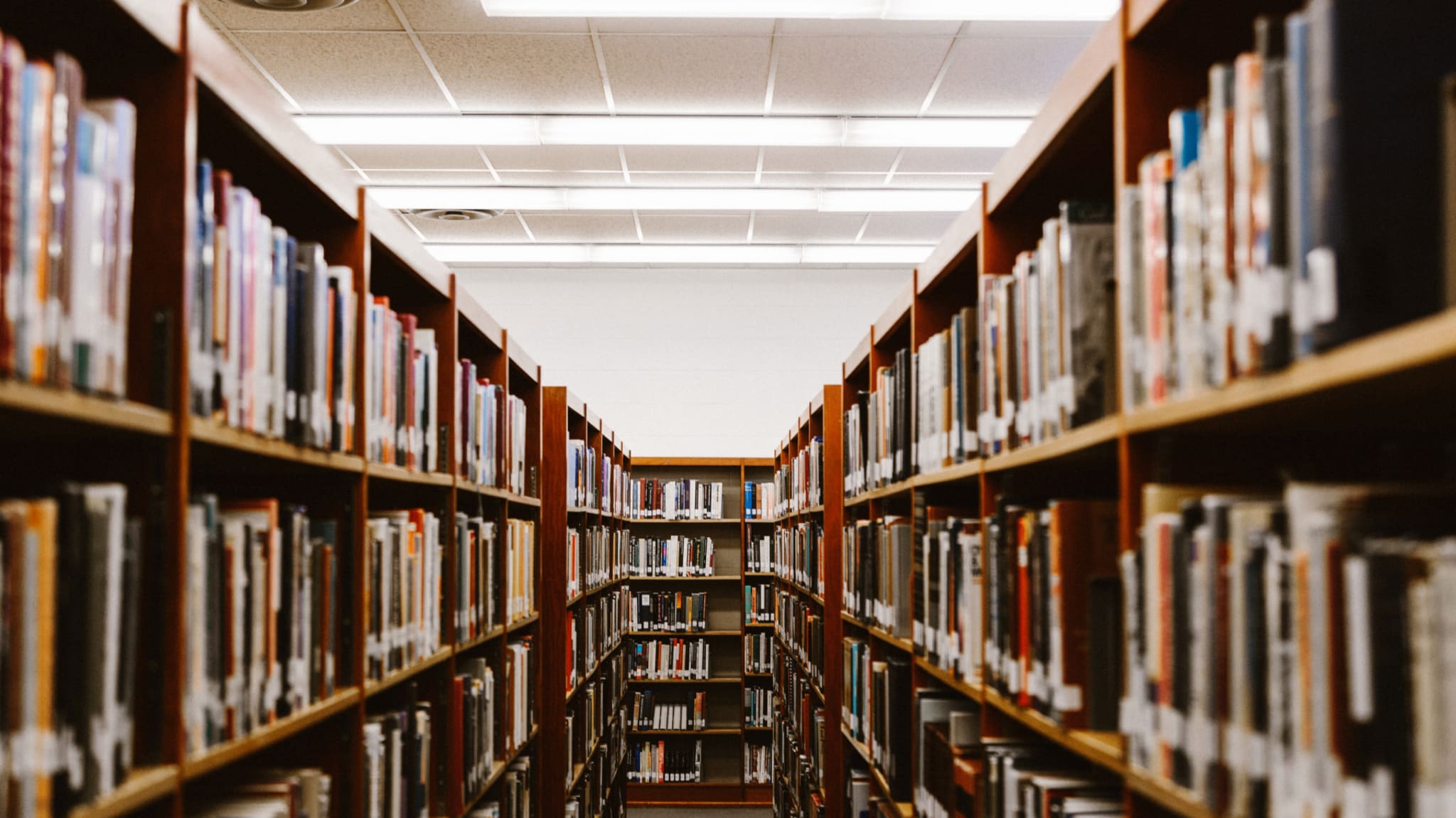A school library is pictured