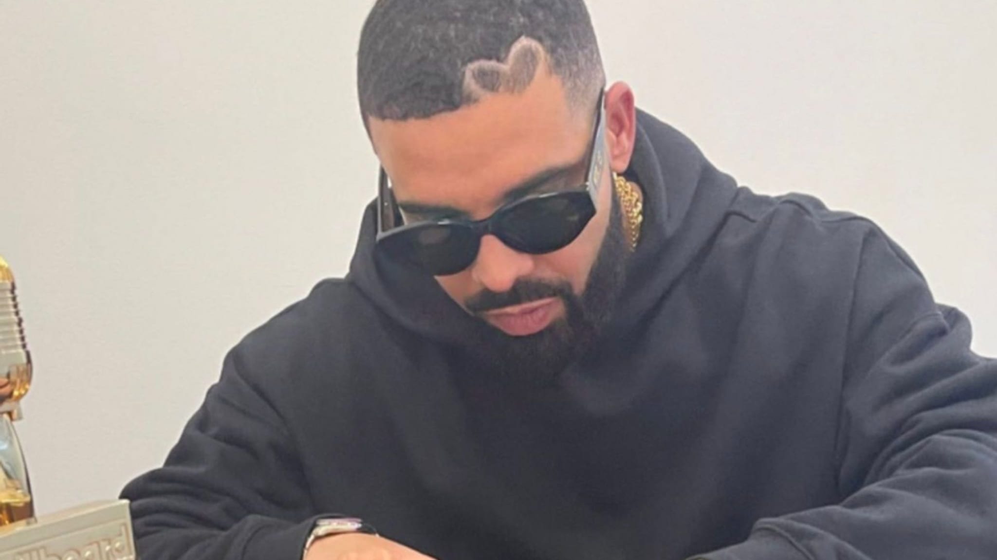 drake chicken