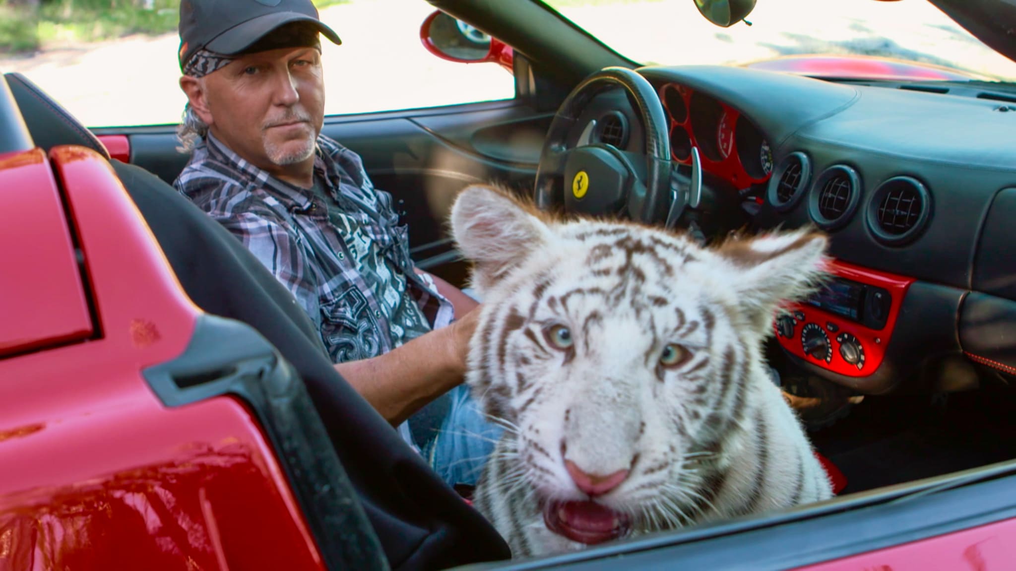 Tiger King