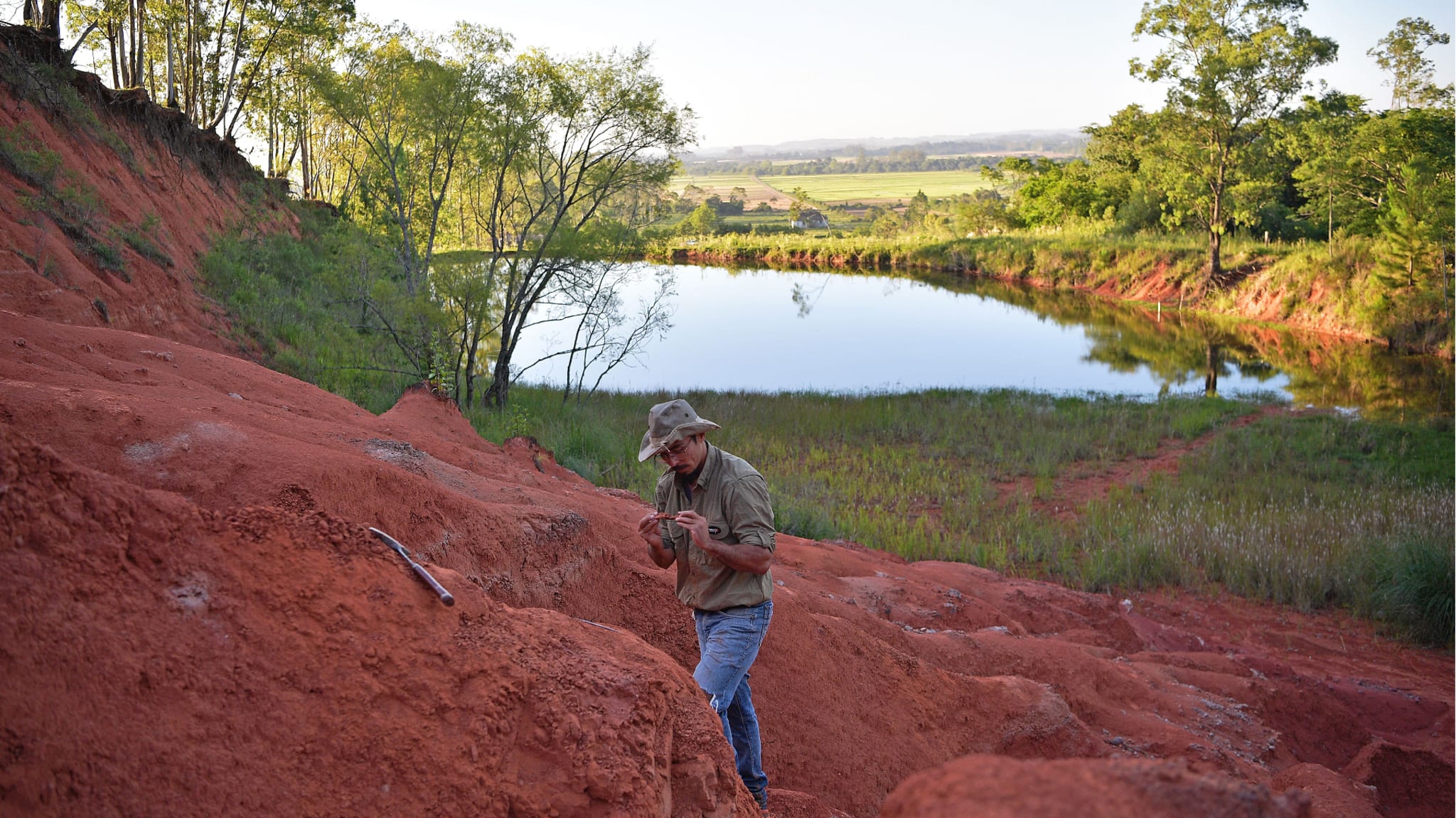 A paleontologist in Brazil