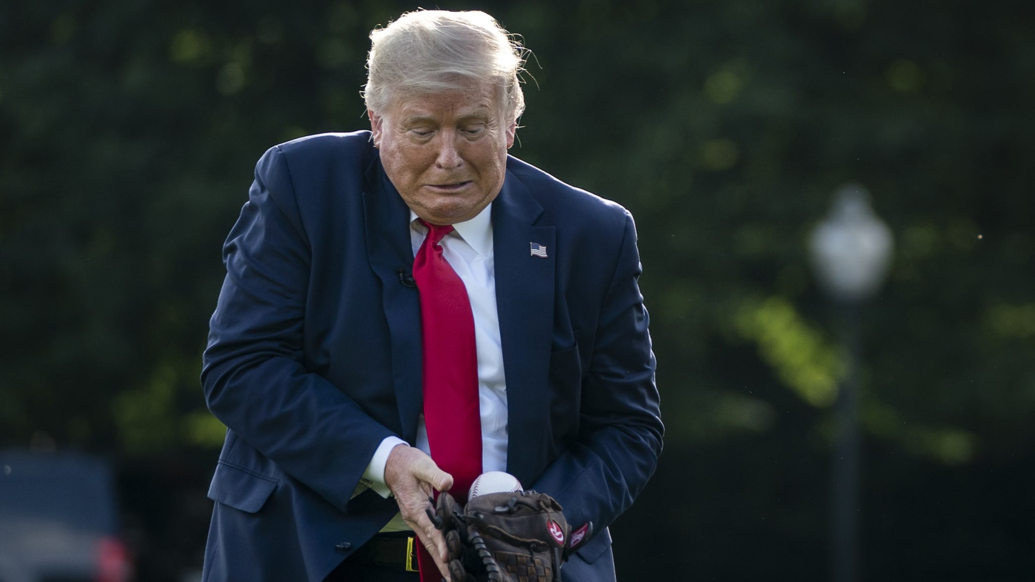 trump pitch mlb