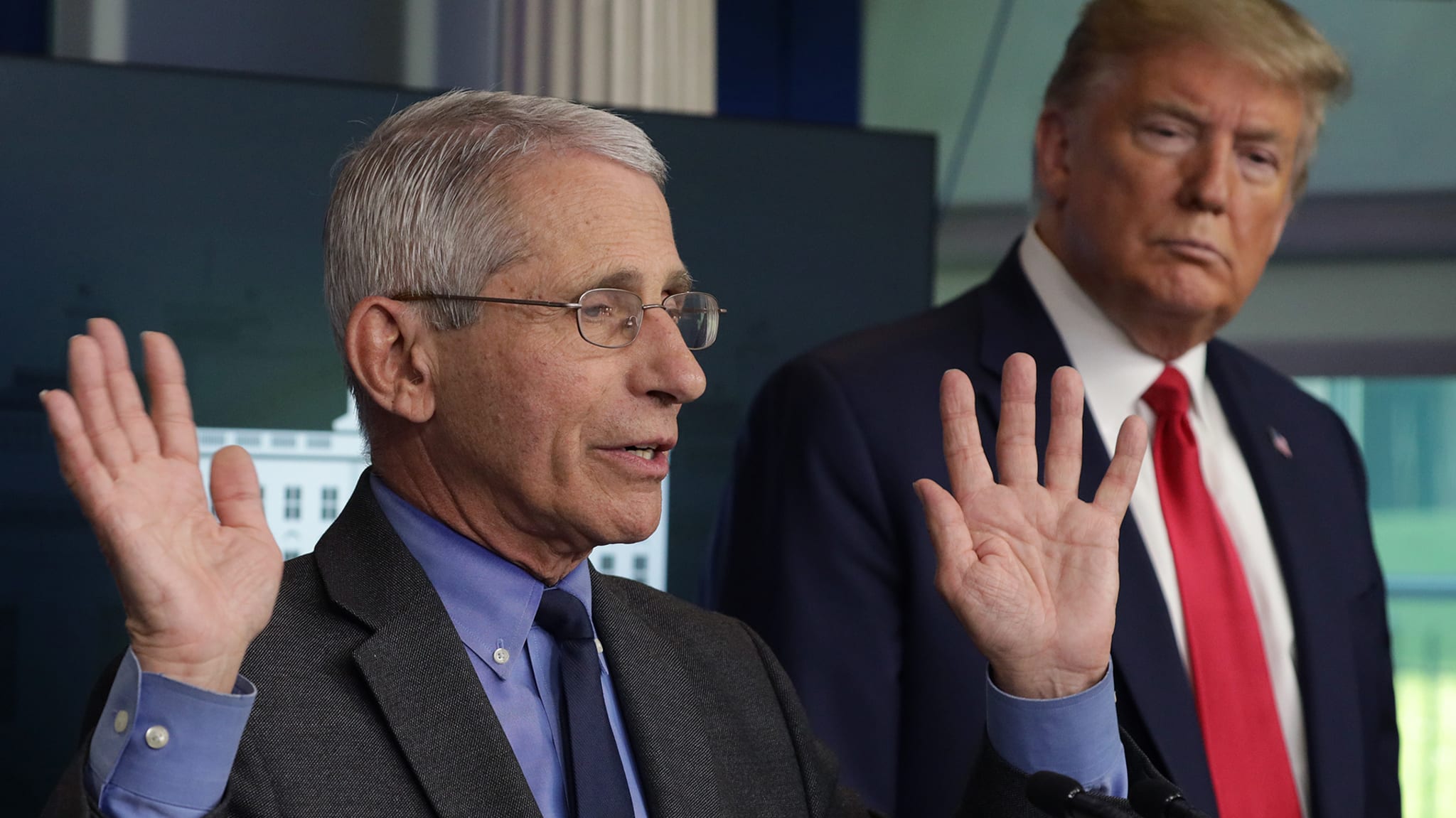 fauci and trumpo