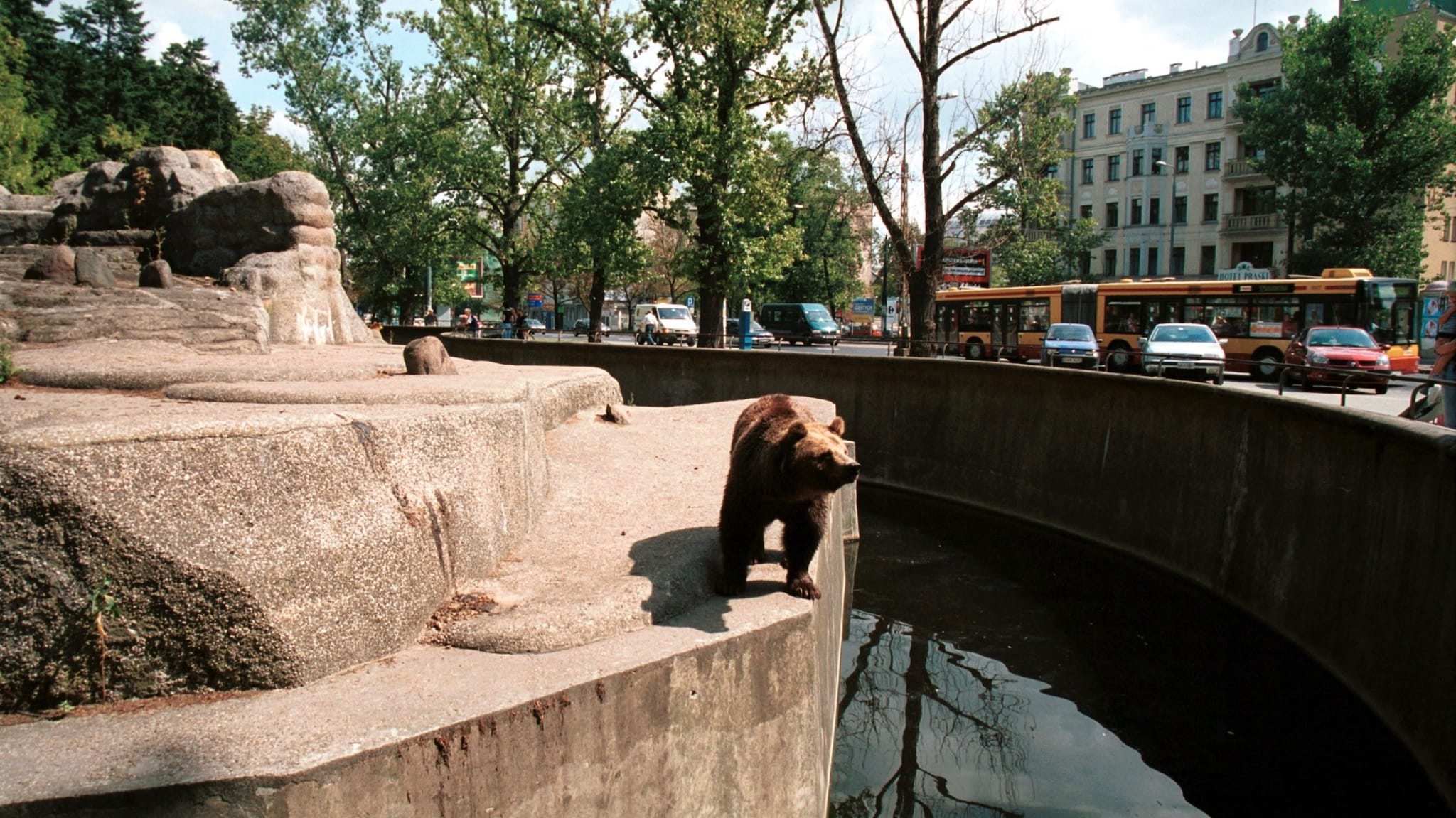 Zoo