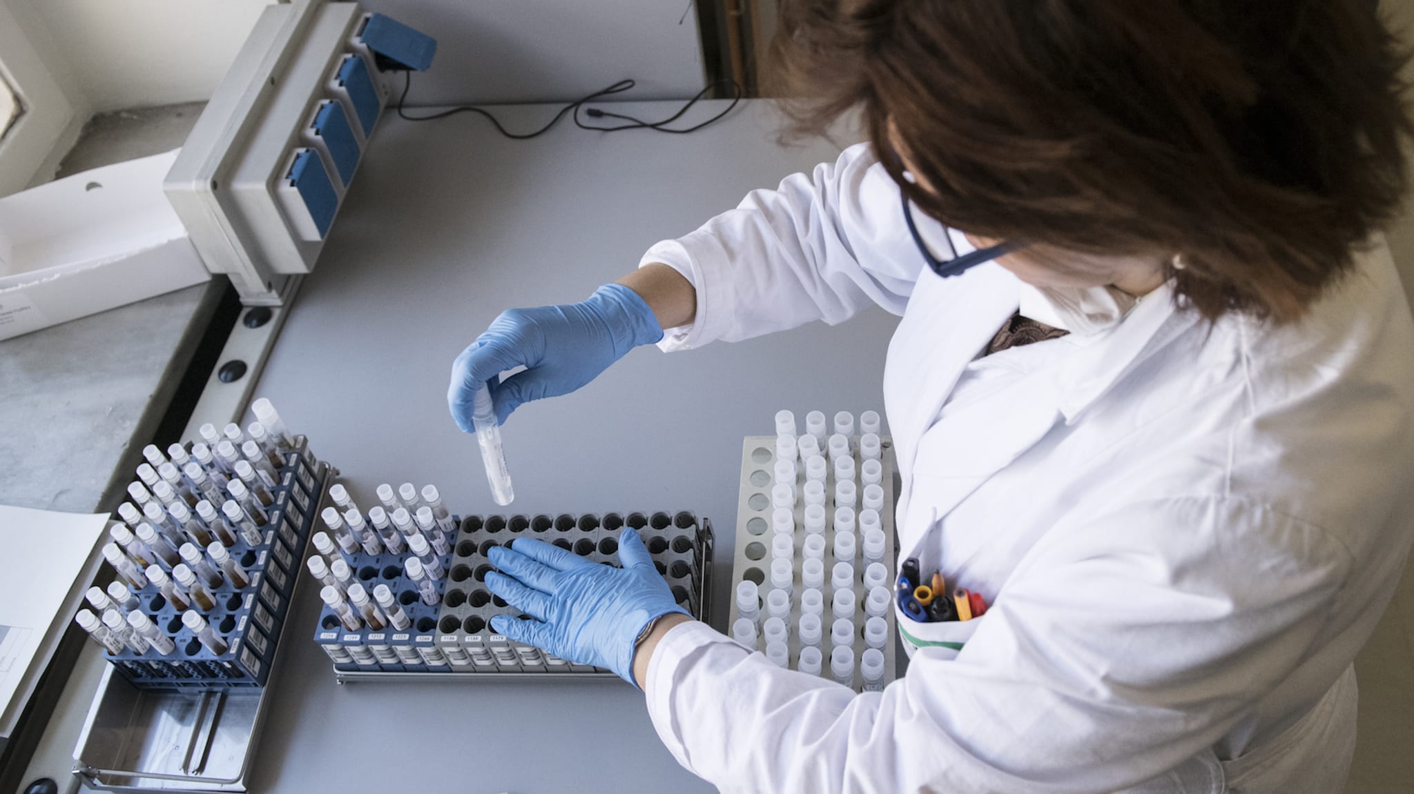 Healthcare workers work on the preparation of evaluation swabs for Coronavirus.