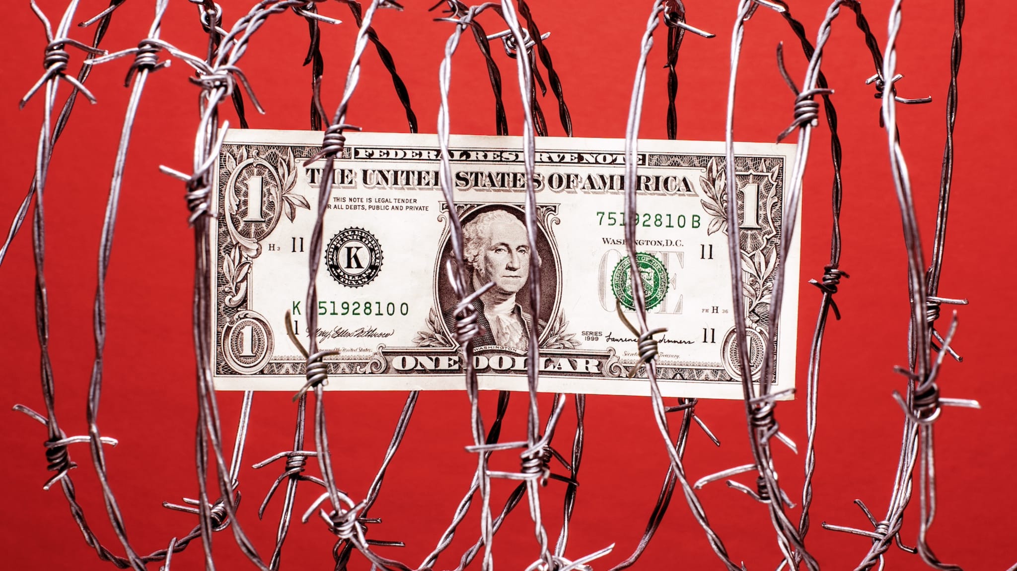 a dollar in barbed wire