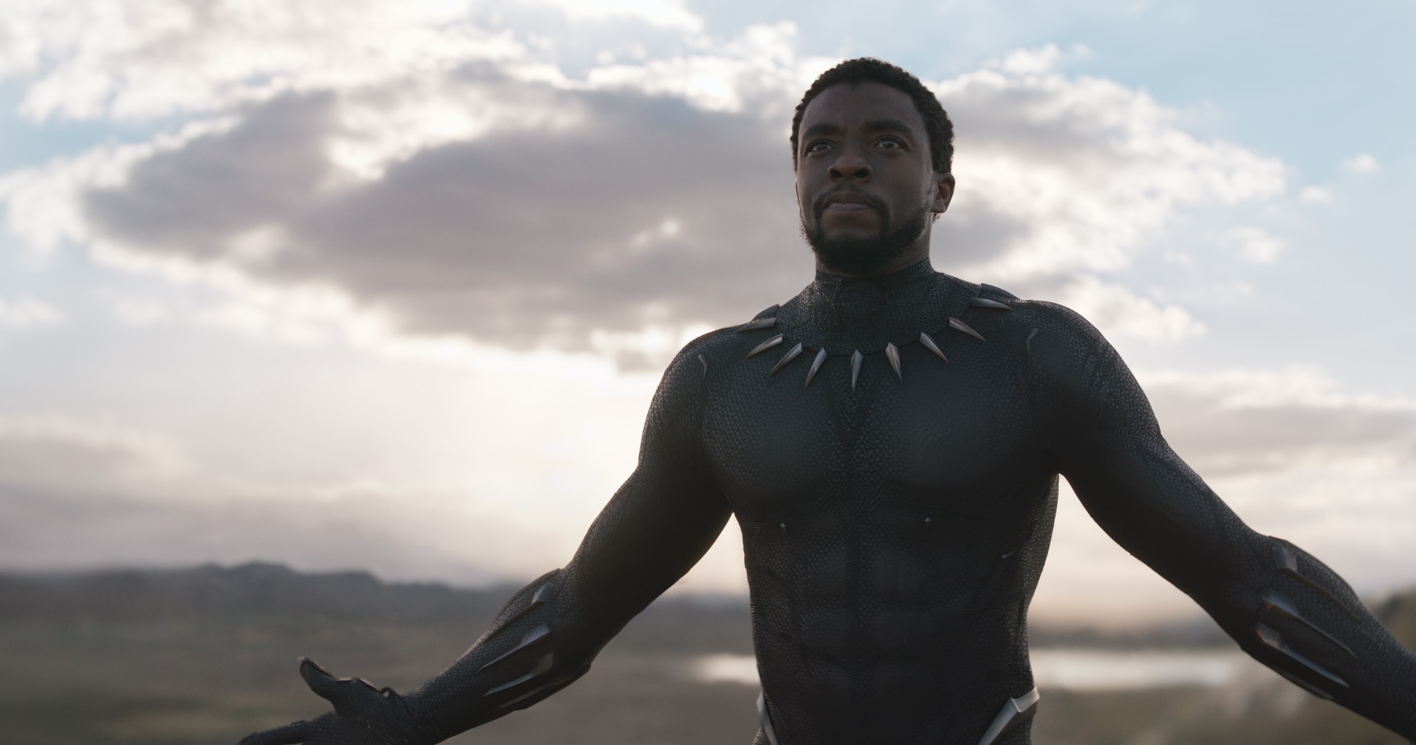 Chadwick Boseman in 'Black Panther'