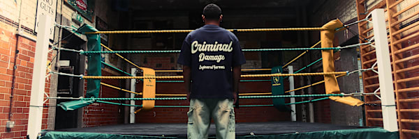 Criminal Damage