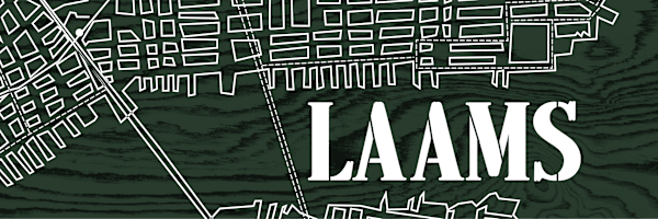 LAAMS