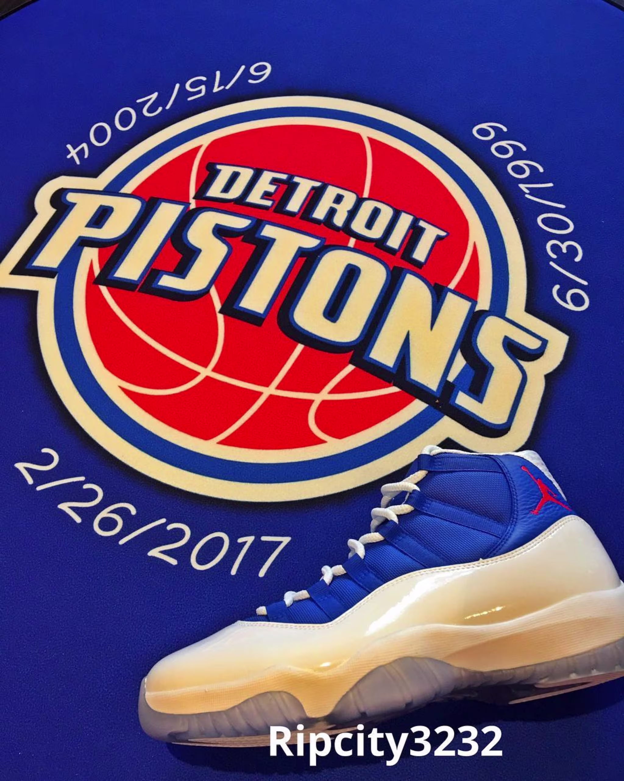Rip Hamilton Air Jordan 11 XI Pistons PE
