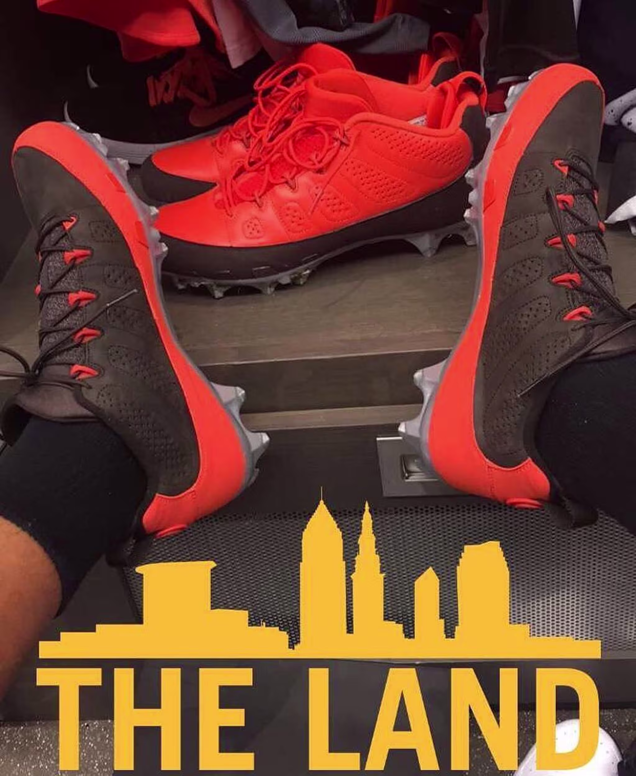 Joe Haden Air Jordan 9 Low Browns Cleats