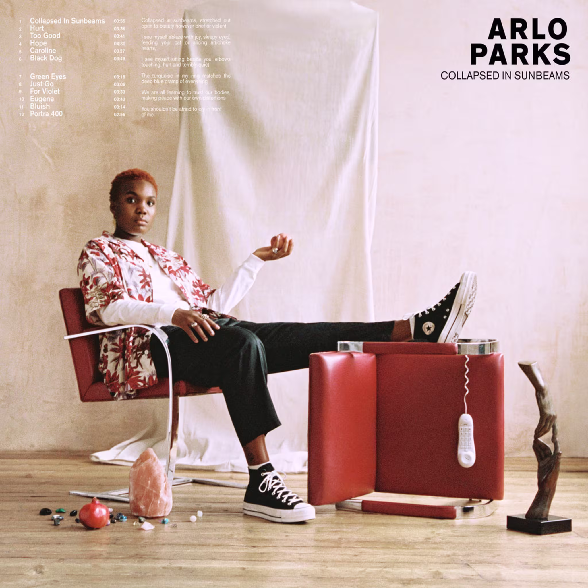 Arlo Parks   'Collapsed In Sunbeams'
