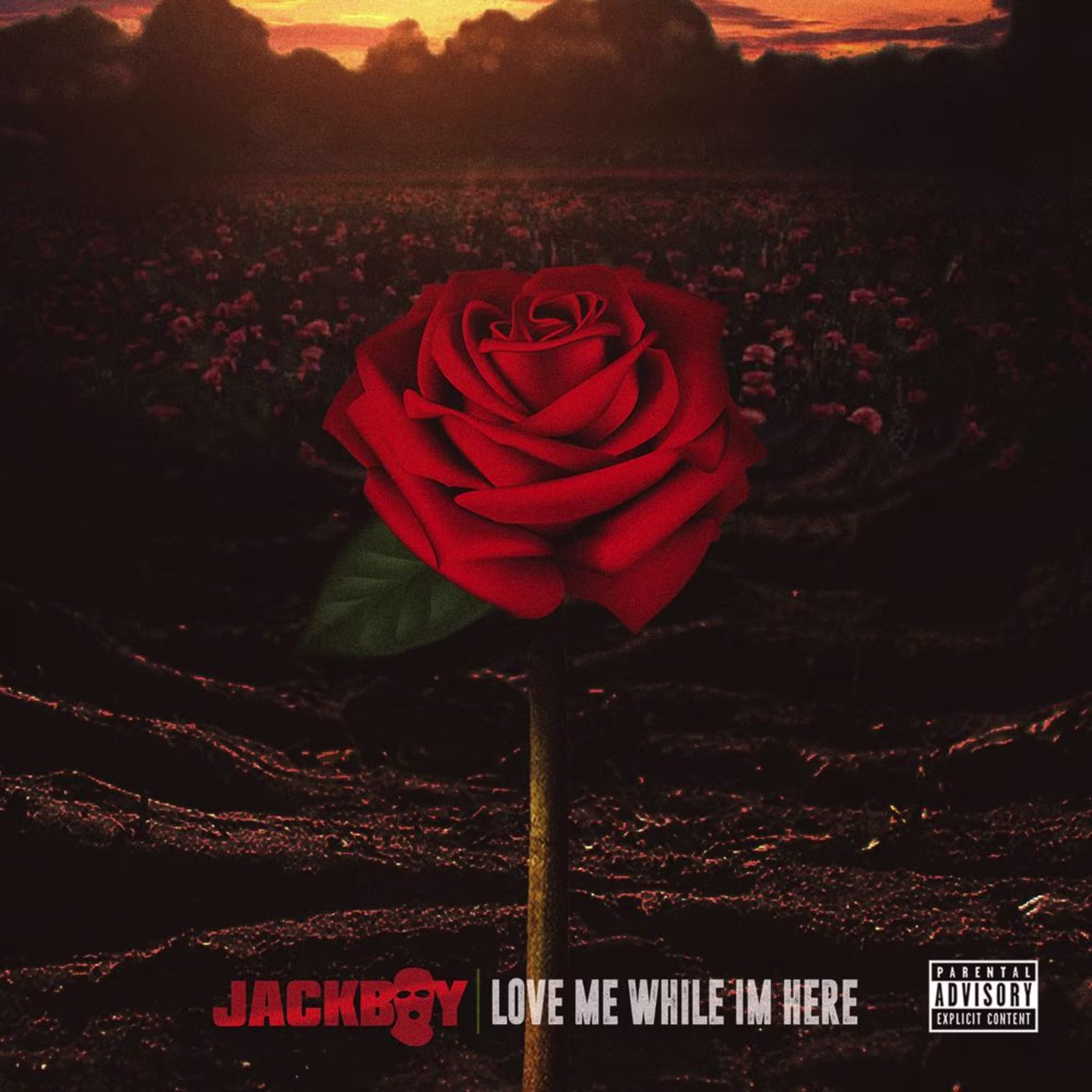 jackboy
