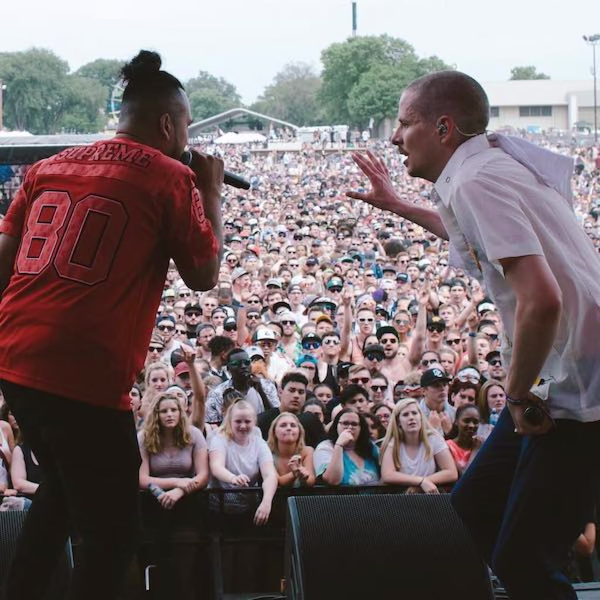 Cashinova Prof live soundset 2019