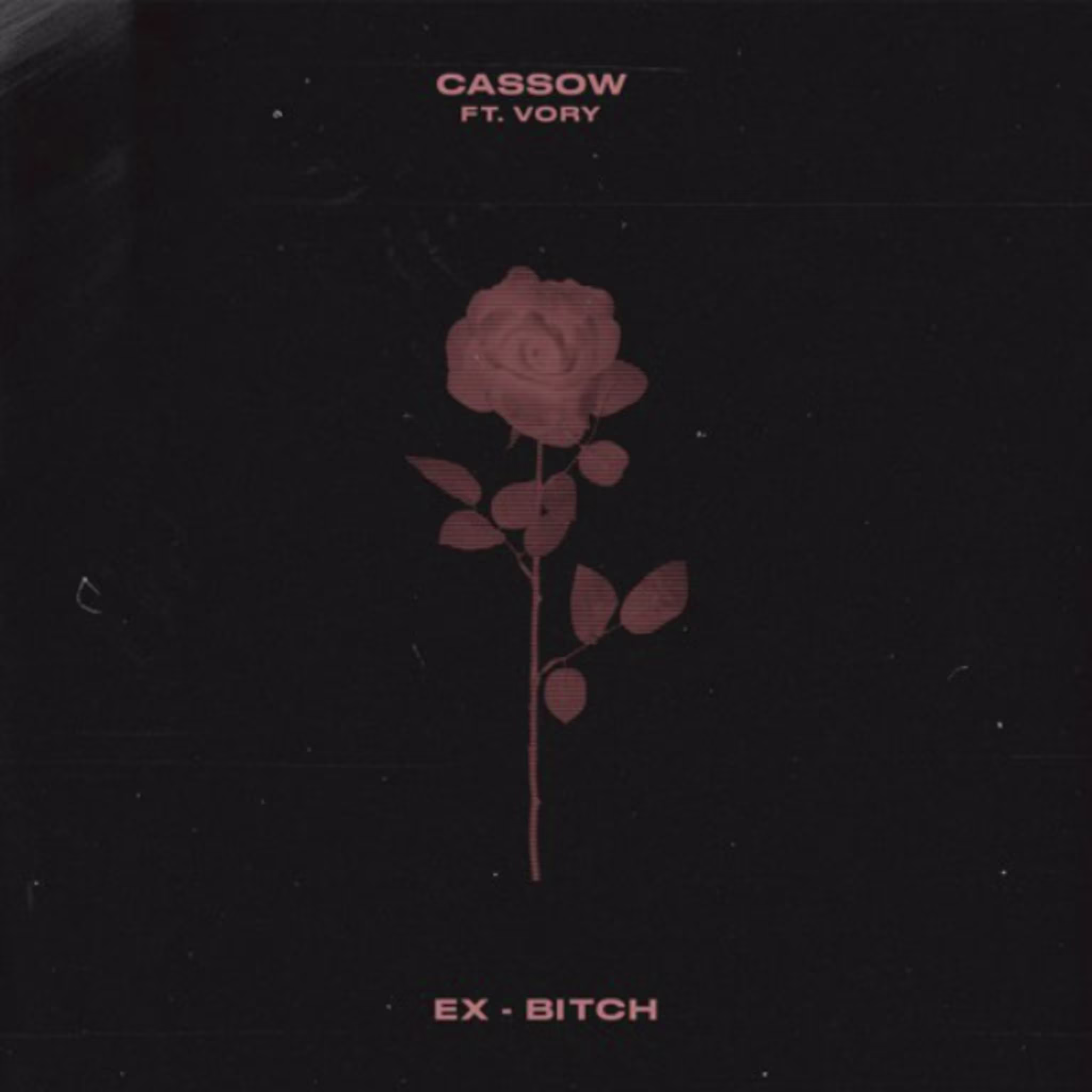 Cassow