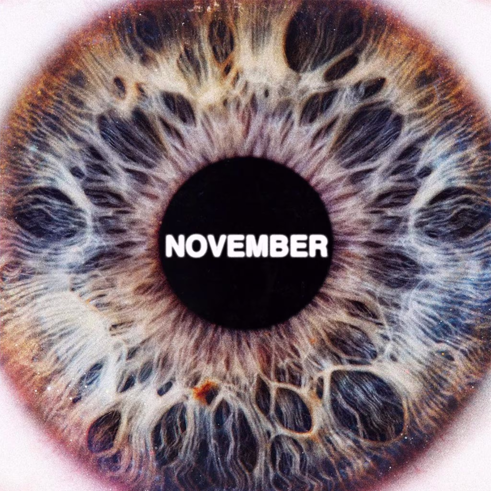 sir album artwork november
