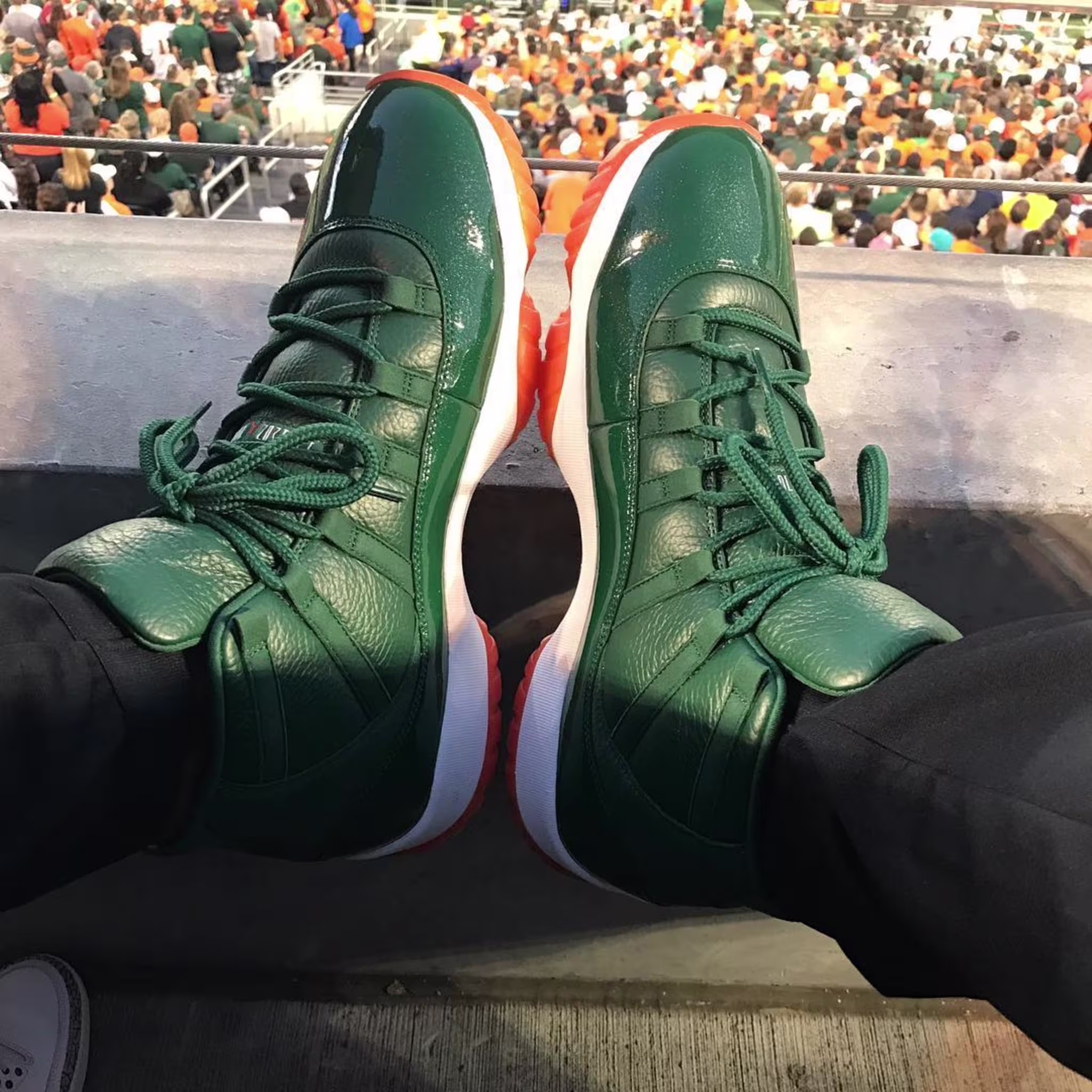 Andre Johnson Air Jordan 11 Miami Hurricanes