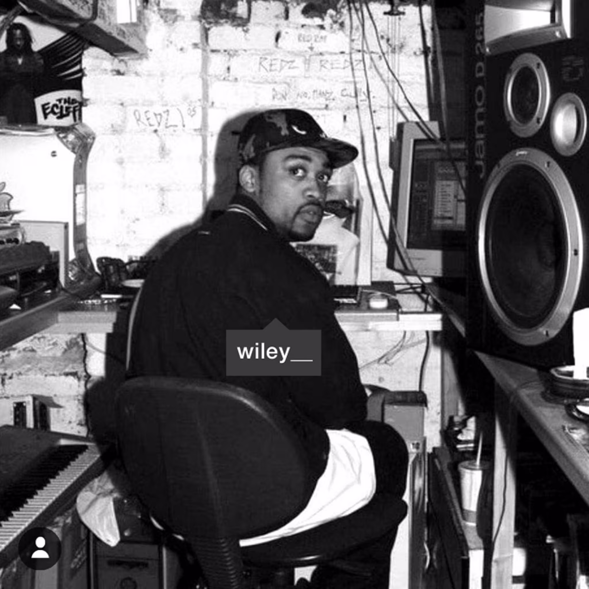 Wiley   The Godfather