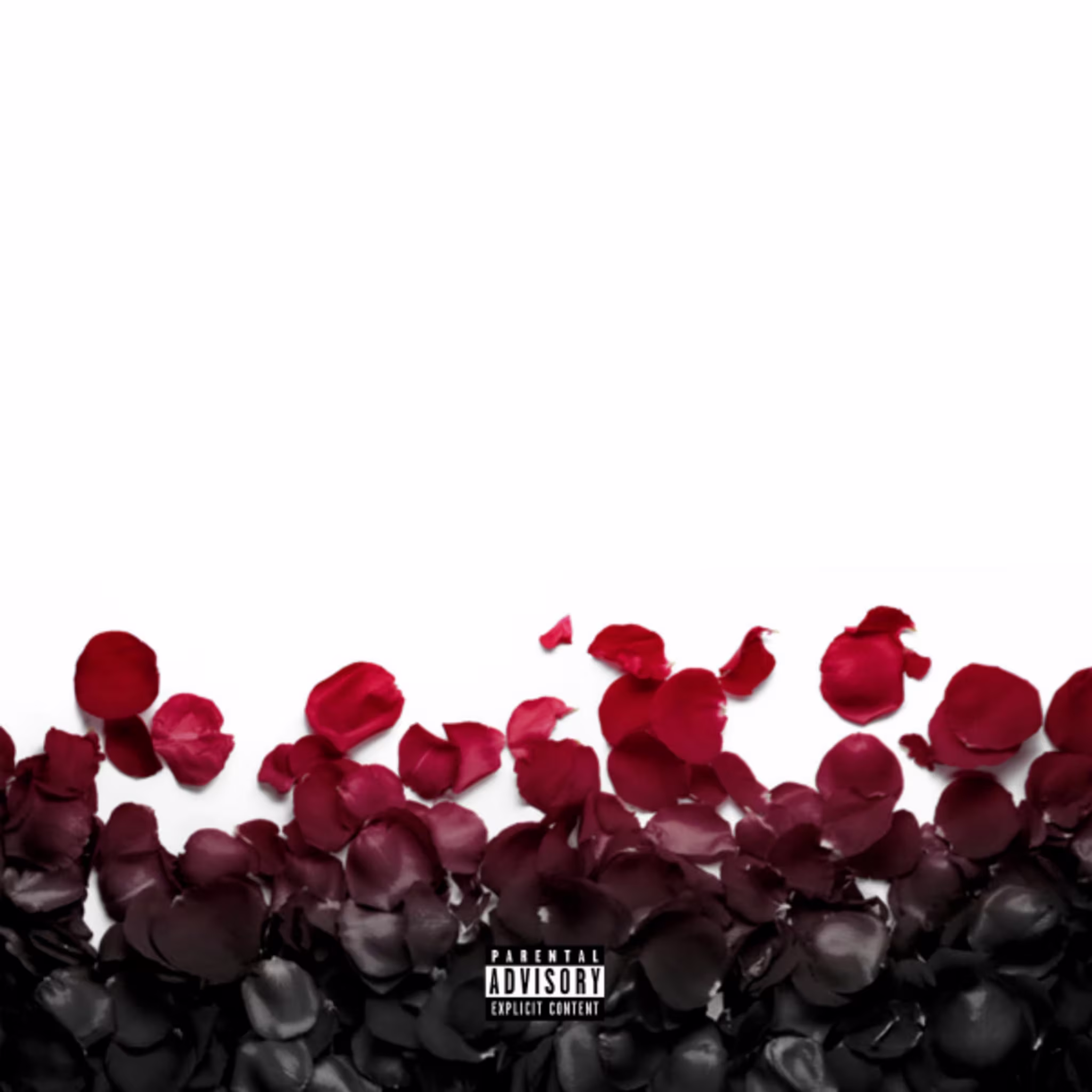 Ishdarr New Song Premiere Time Shawty