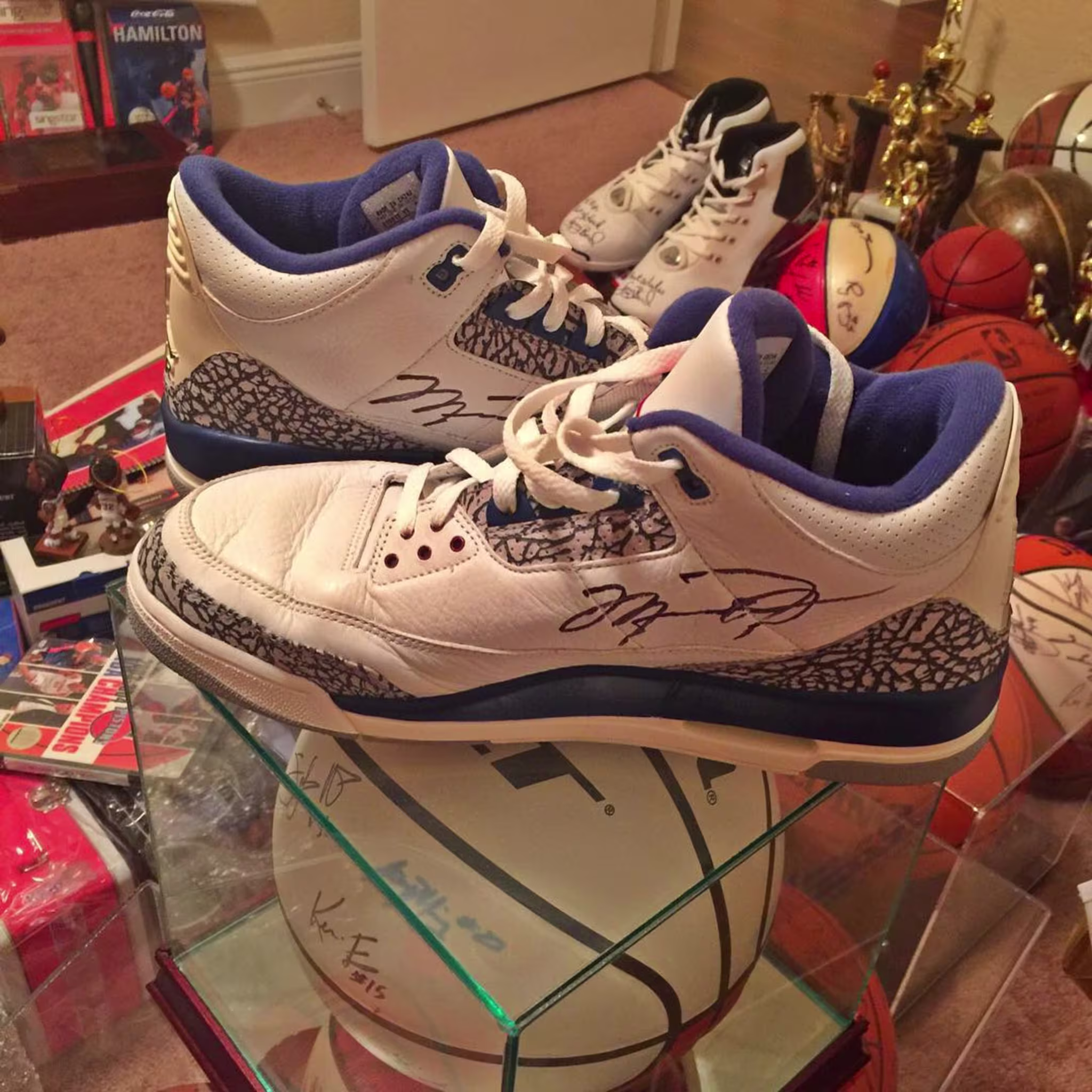 Rip Hamilton Michael Jordan Air Jordan 3 Game-Worn Sneakers