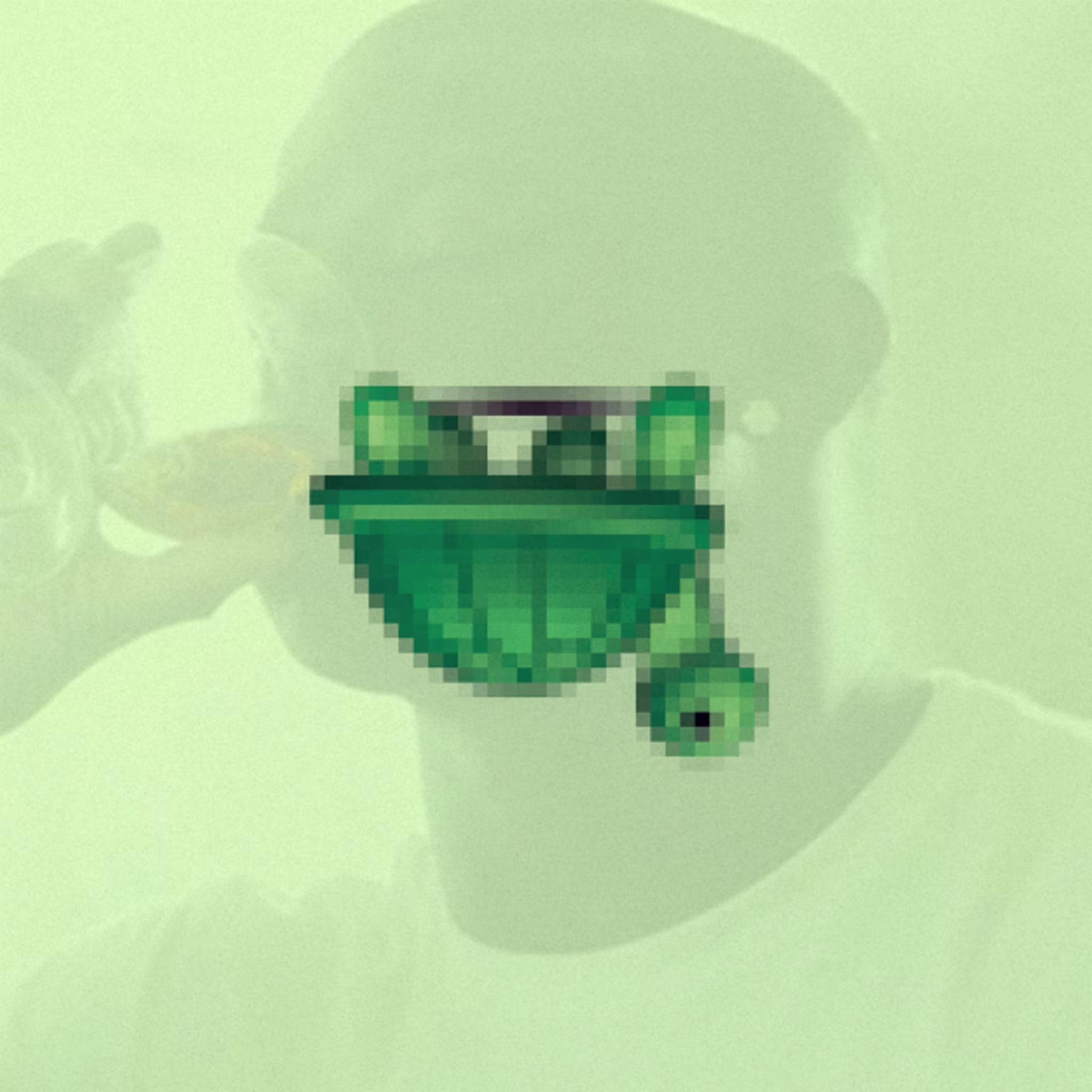 trippy turtle fofo