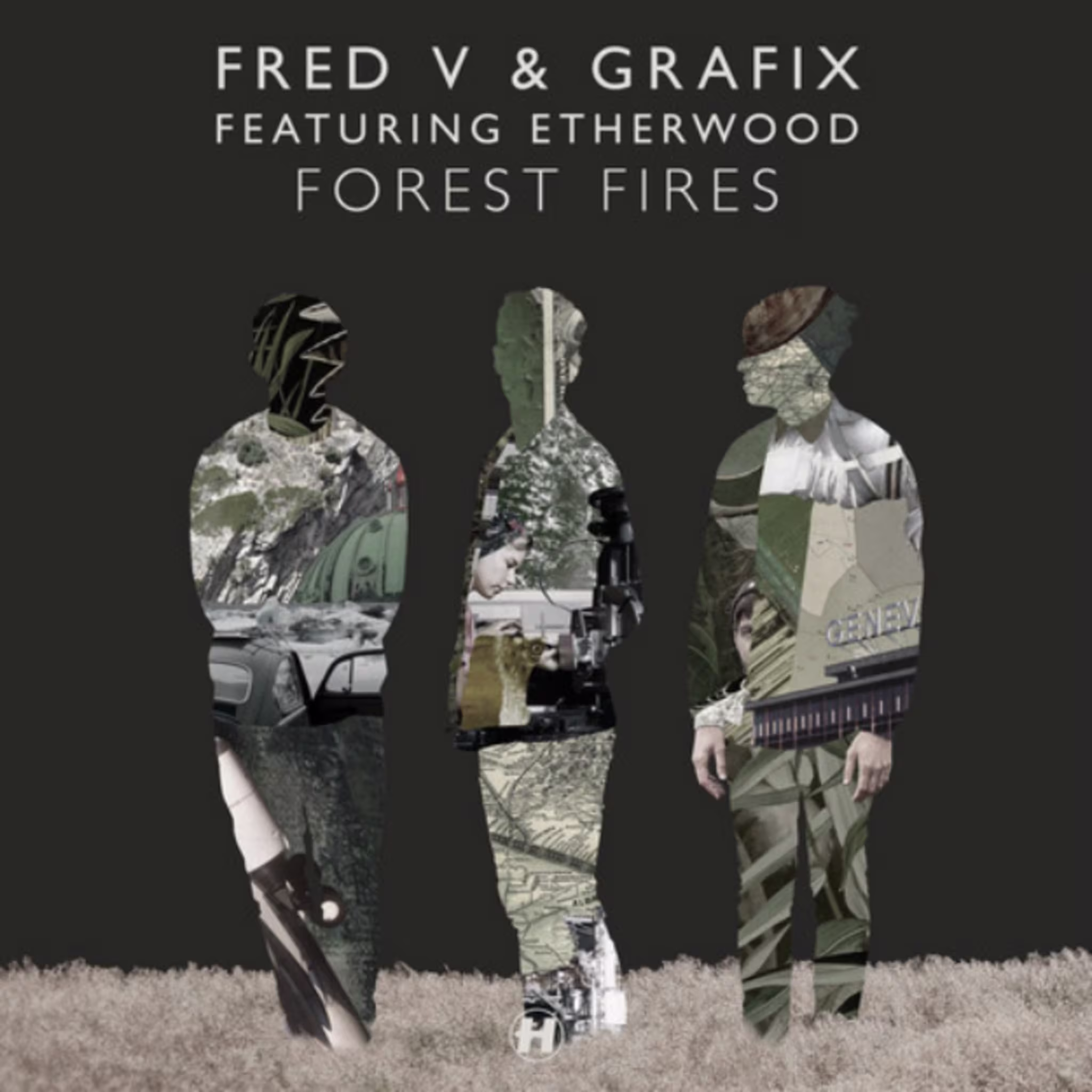forest fires cover