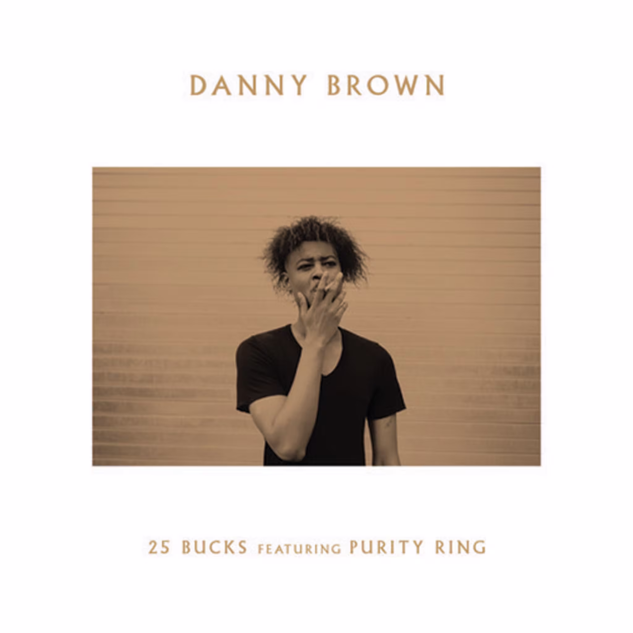 danny brown 25 bucks cover