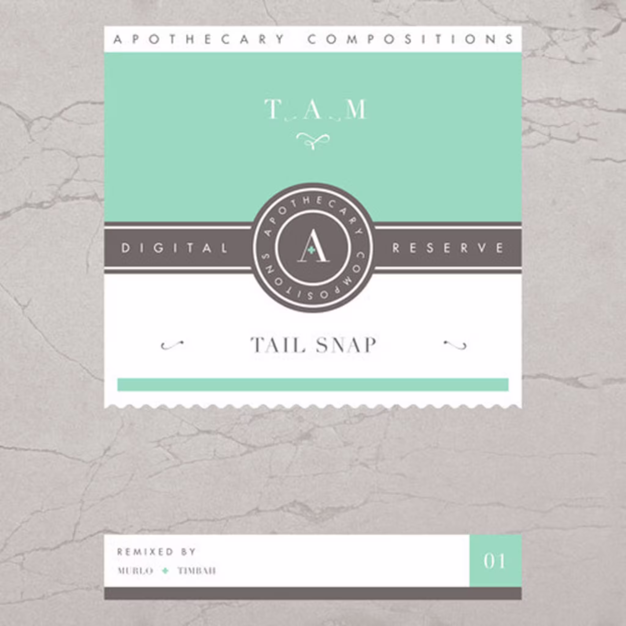 tam tain snap cover
