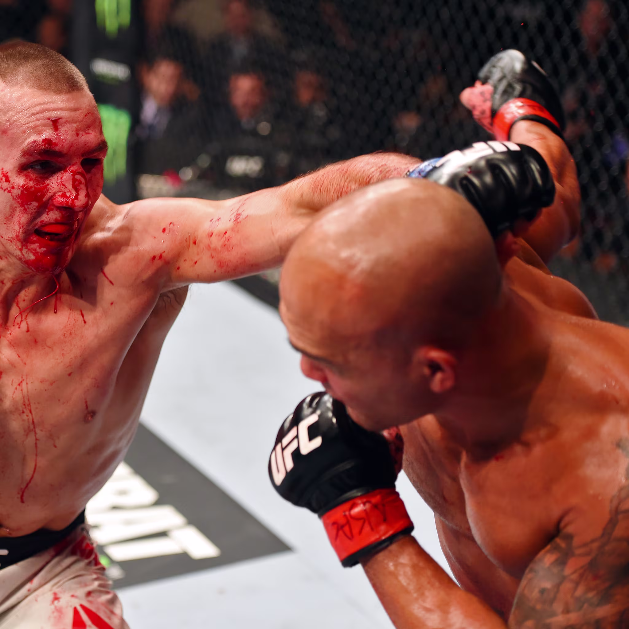 Lawler vs MacDonald 2