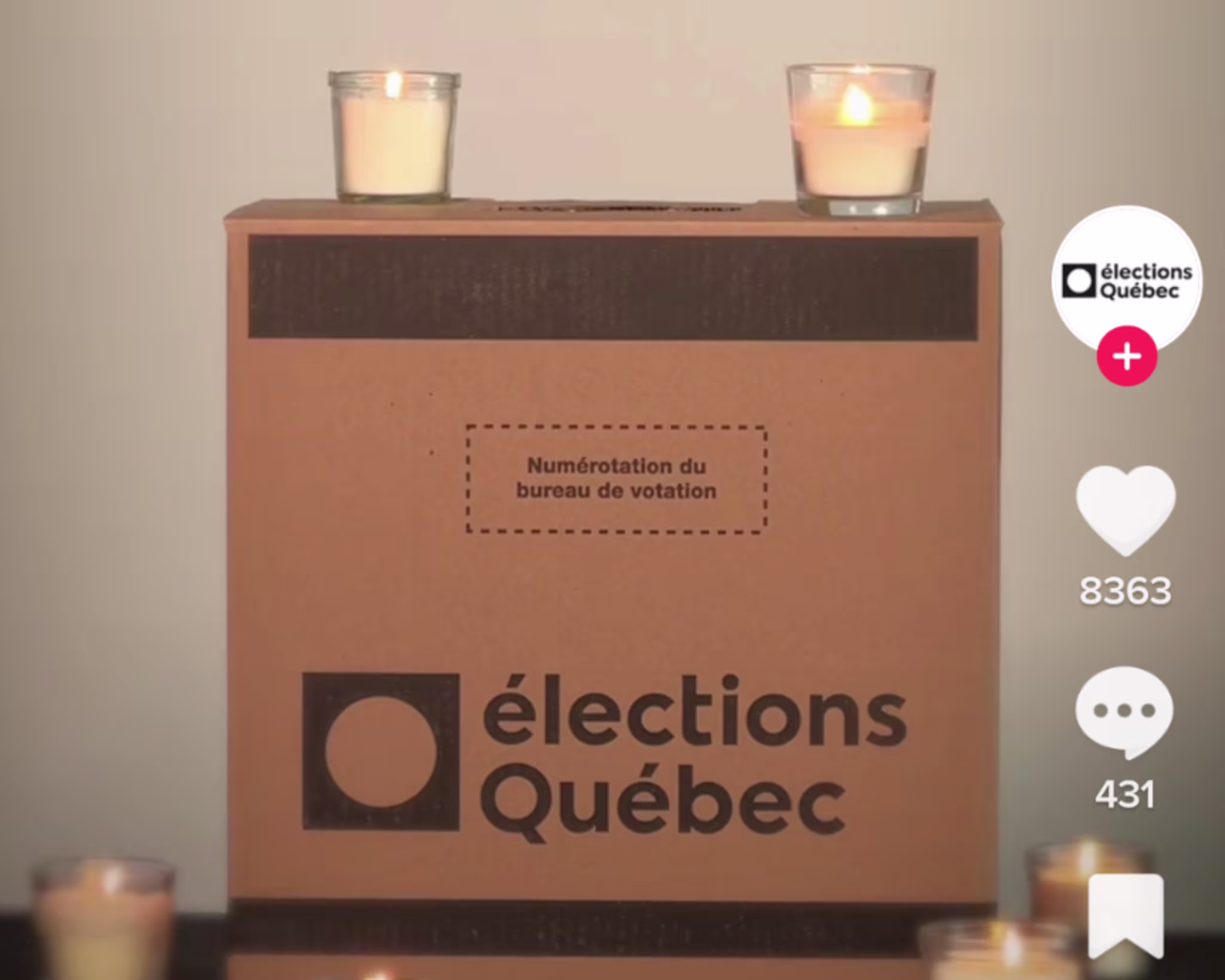 Elections Quebec meme on Tiktok