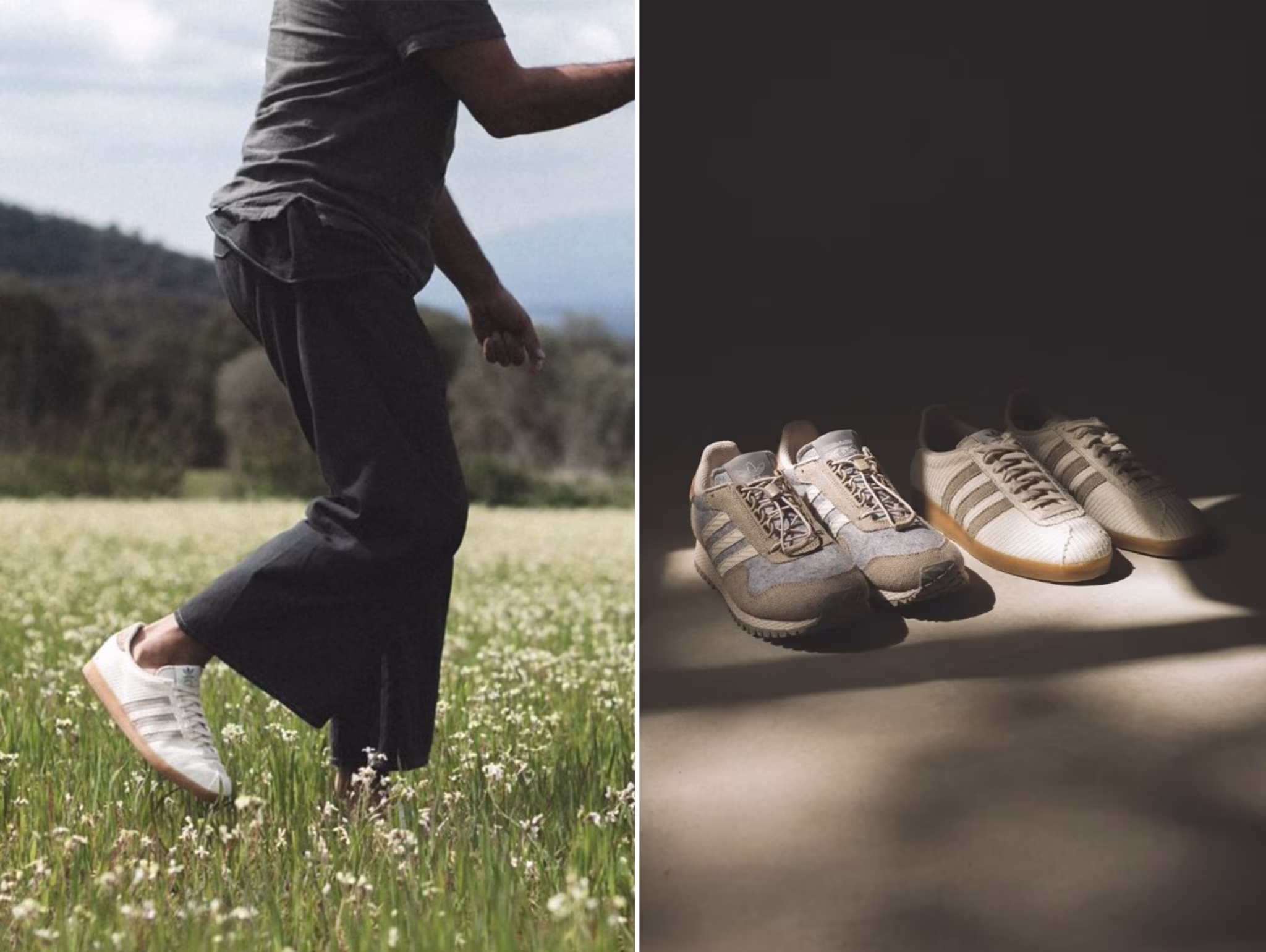 satta size adidas collection lead