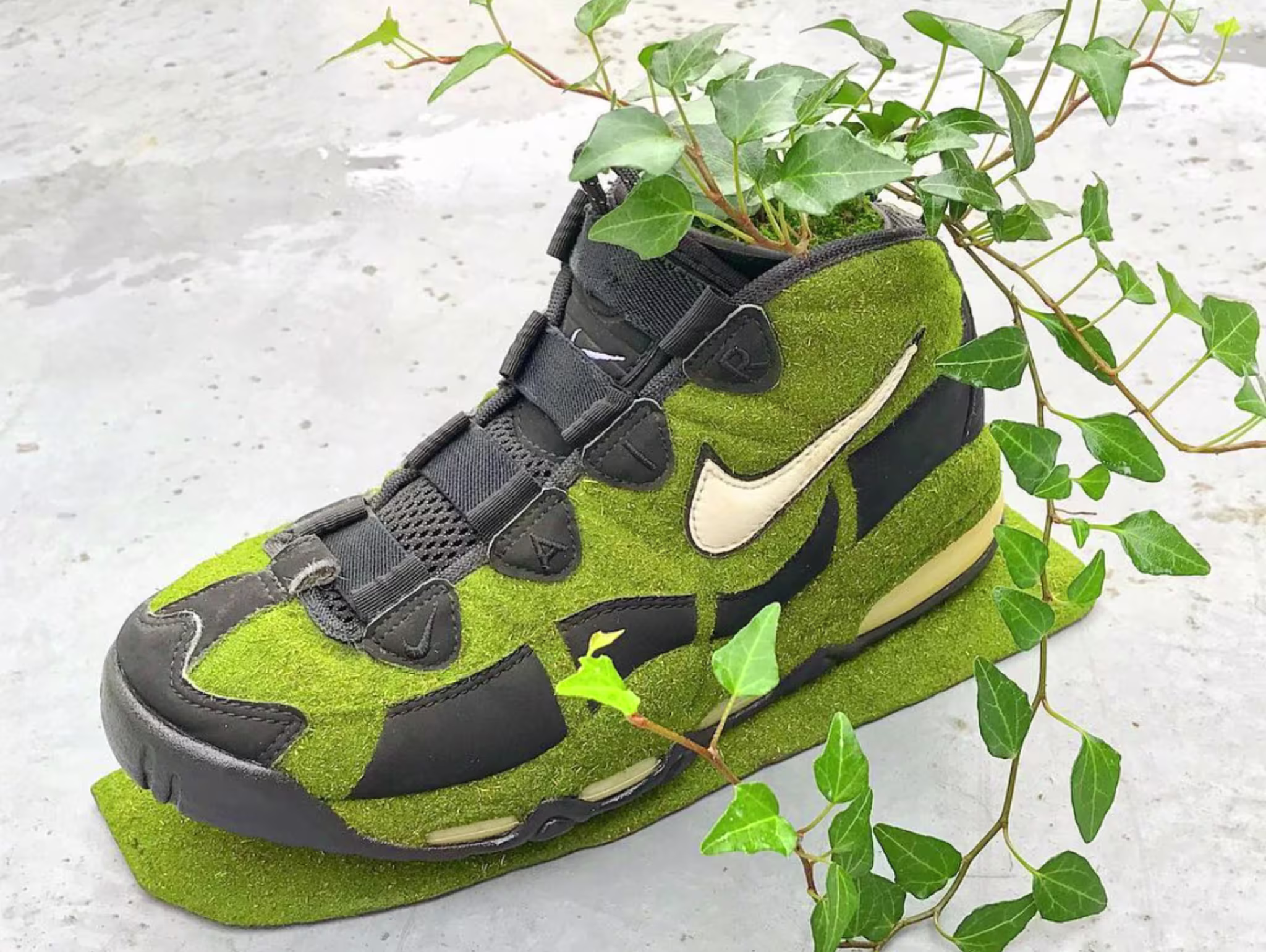Shoe Tree 2016