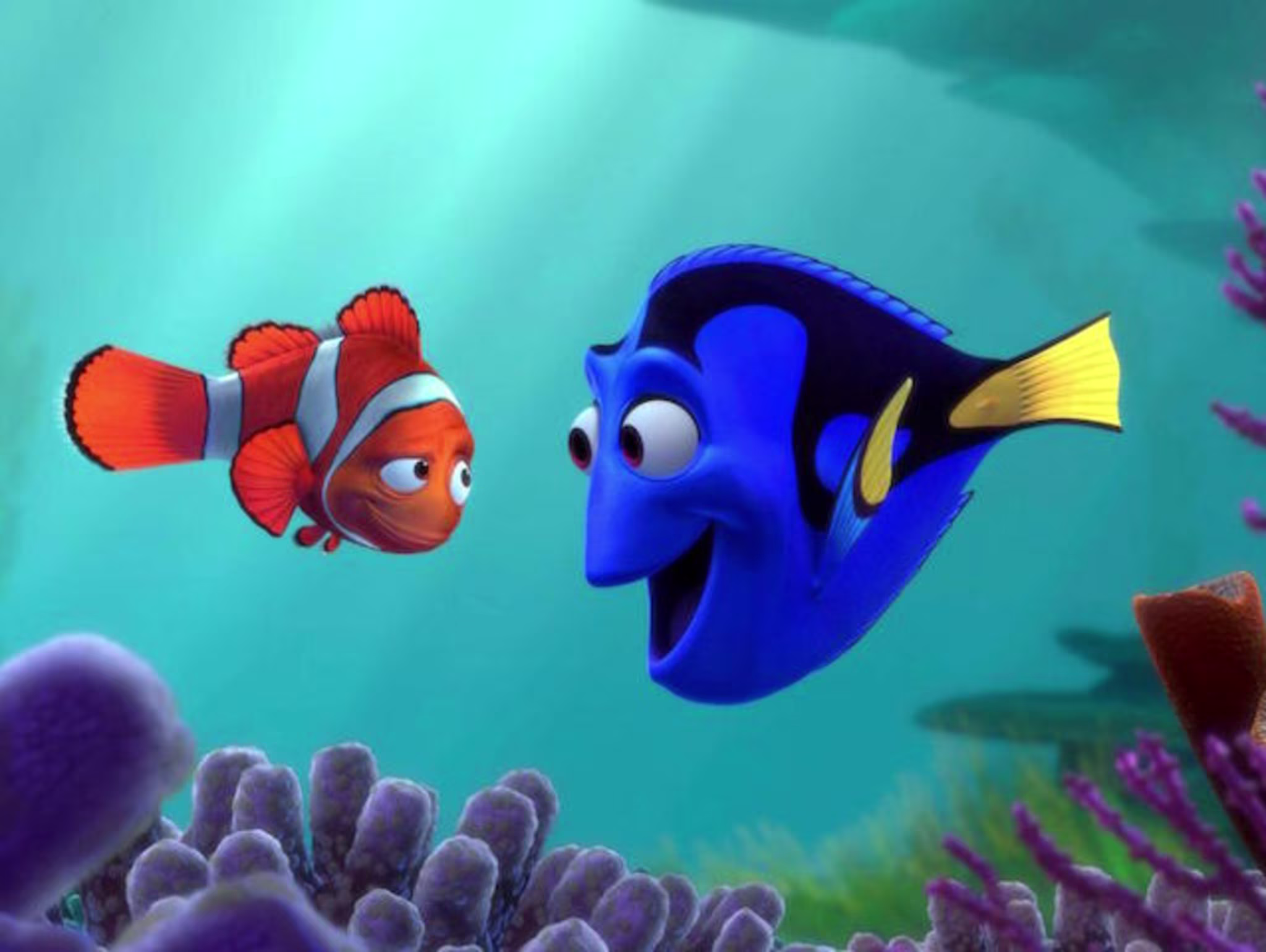 finding dory
