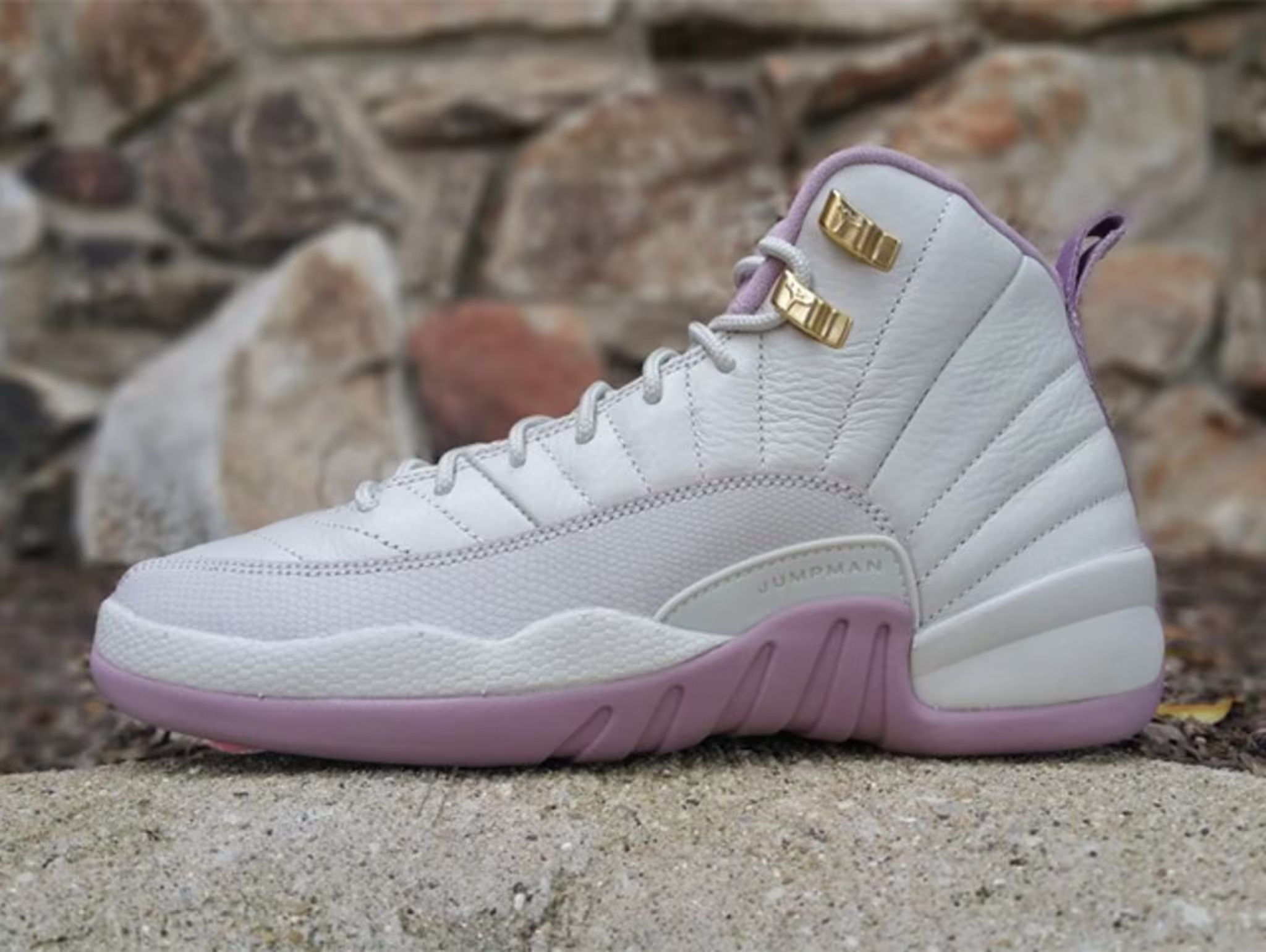 Air Jordan 12 GG Plum Fog 845028 025