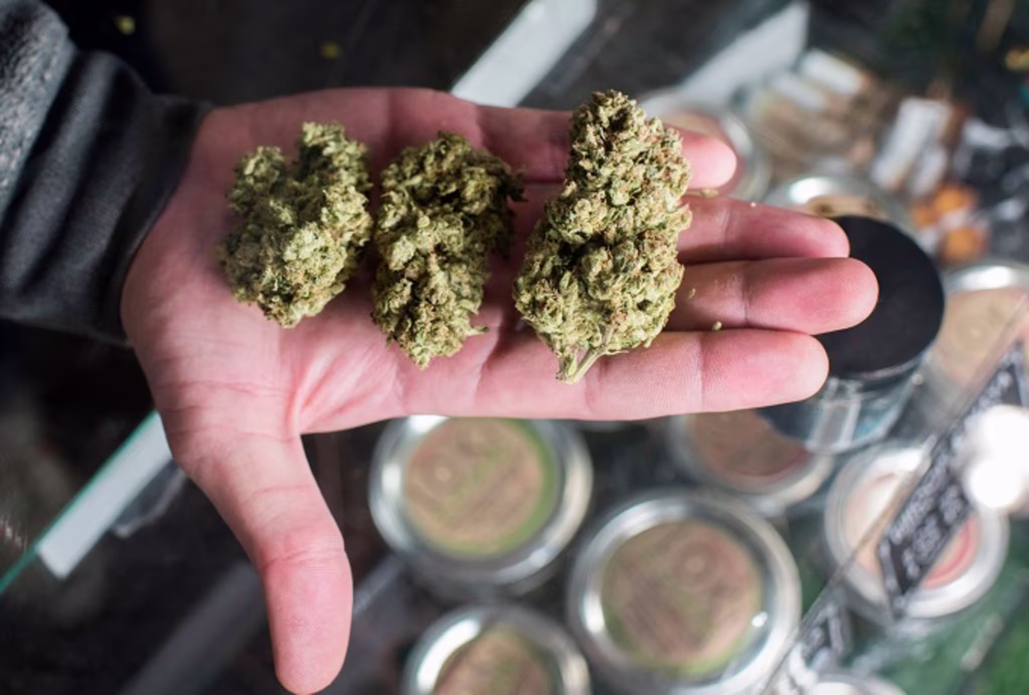 Marijuana