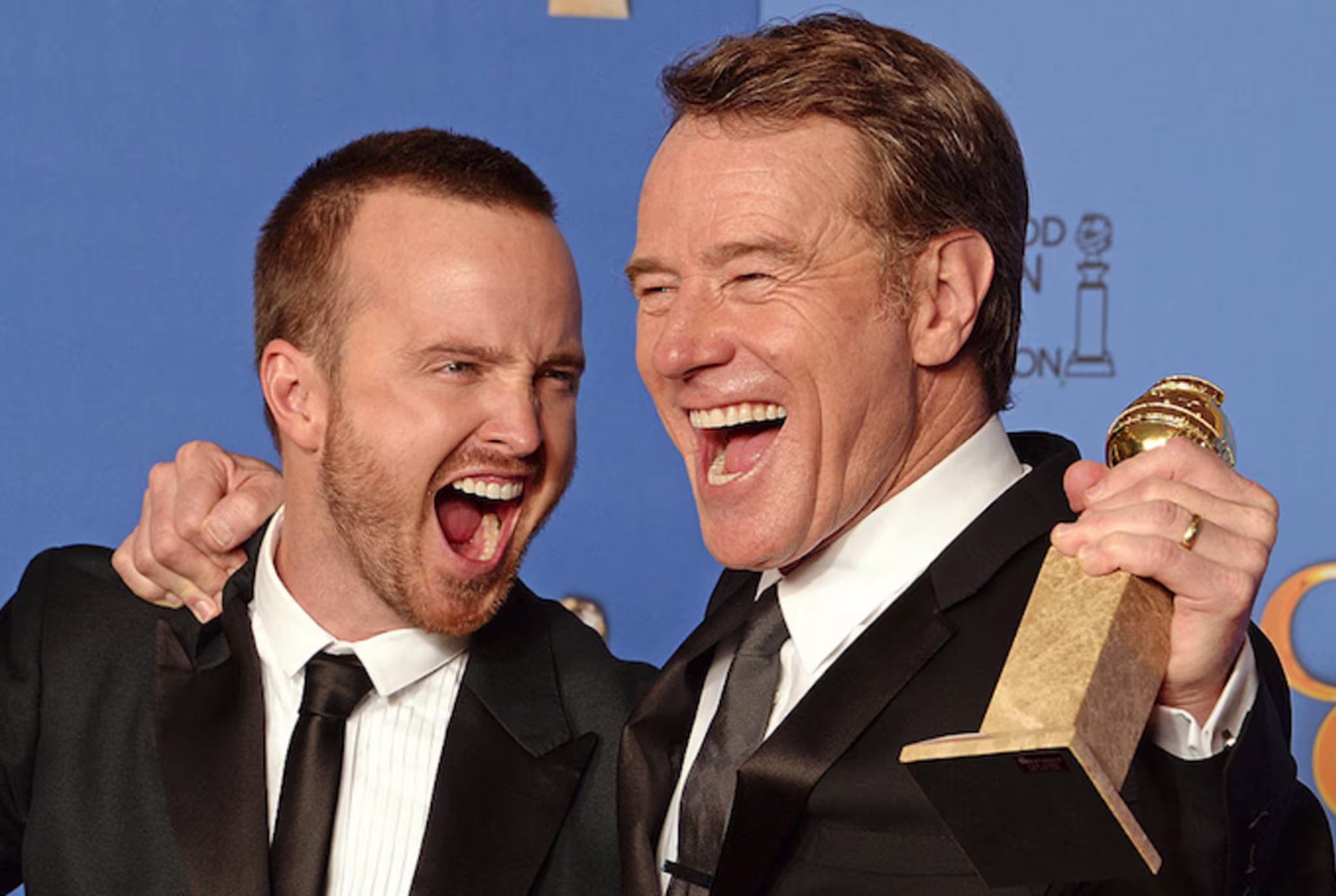 AAron PAul and BRyan CRanston