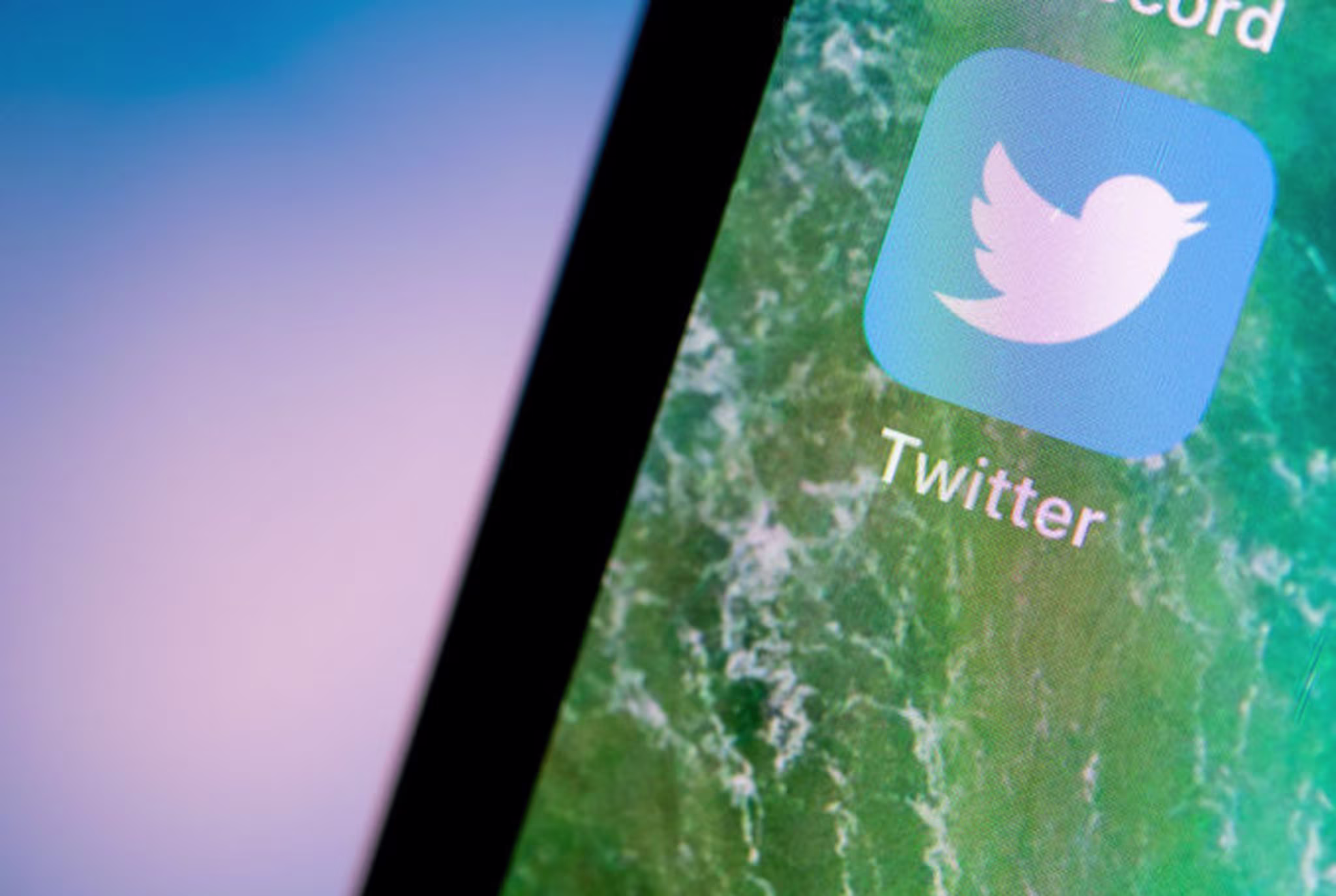 twitter