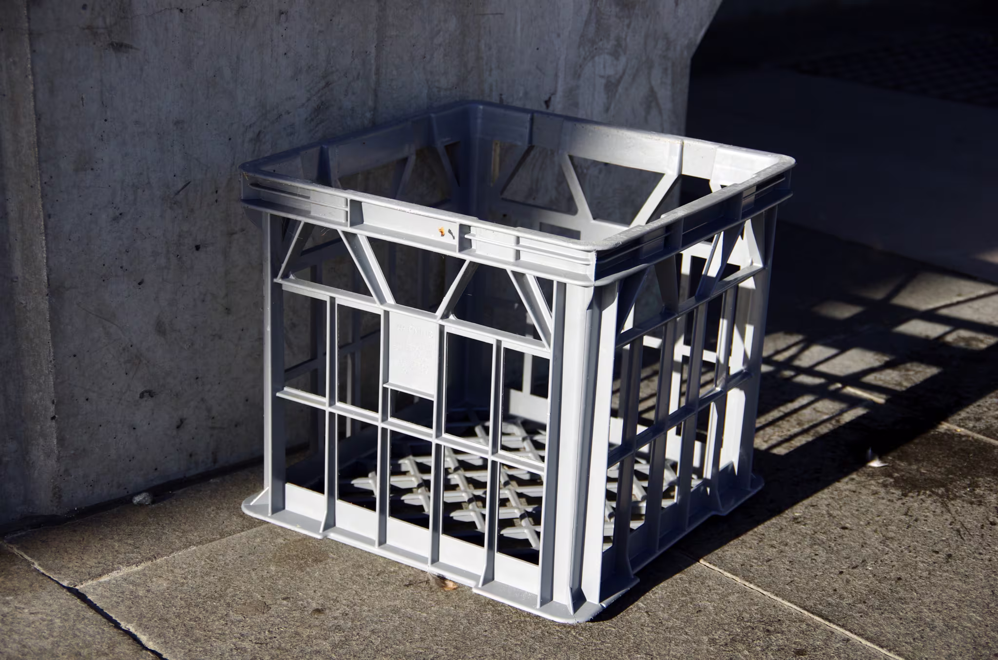 What Is the Milk Crate Challenge?