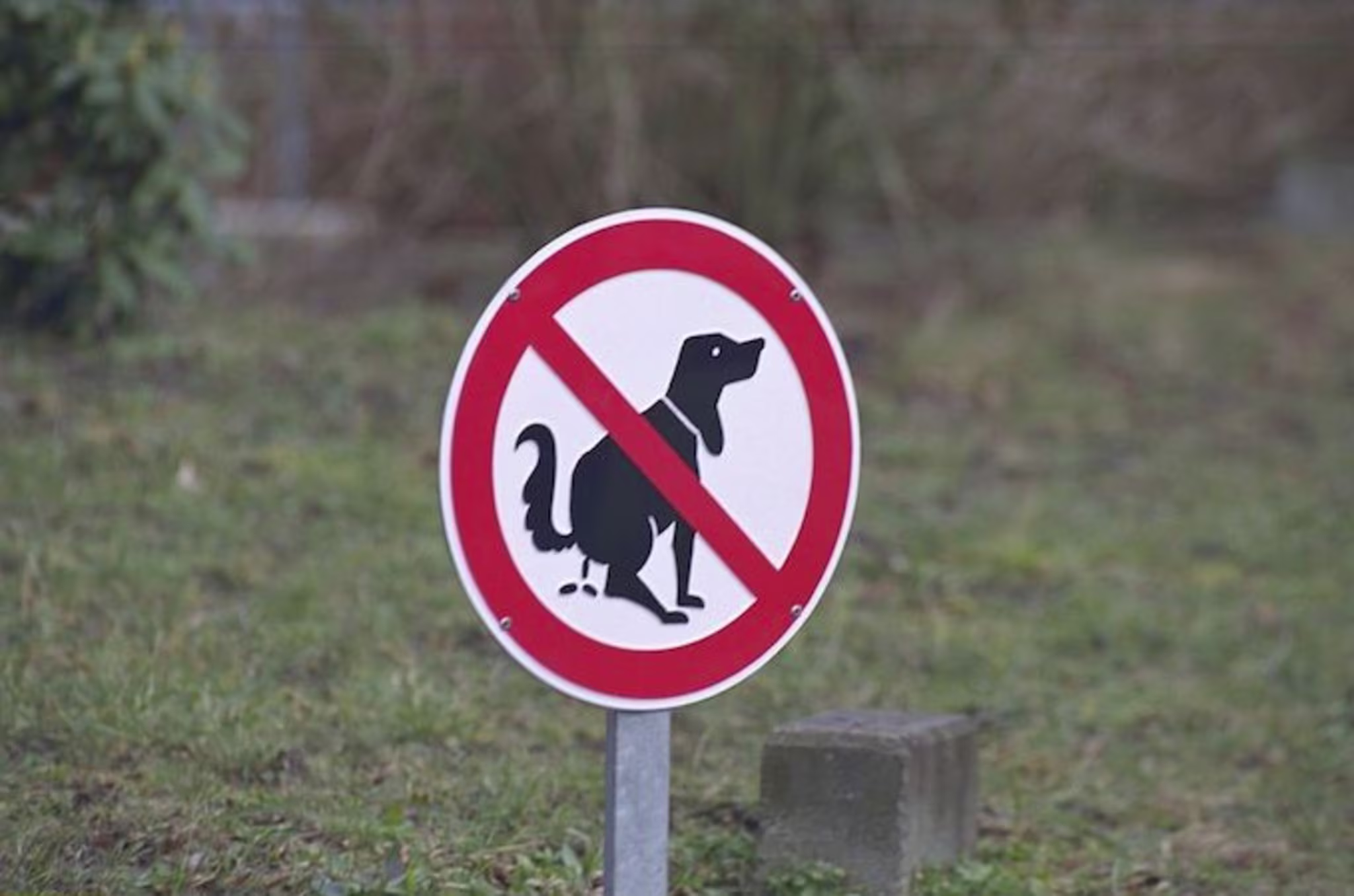 Dog poop sign
