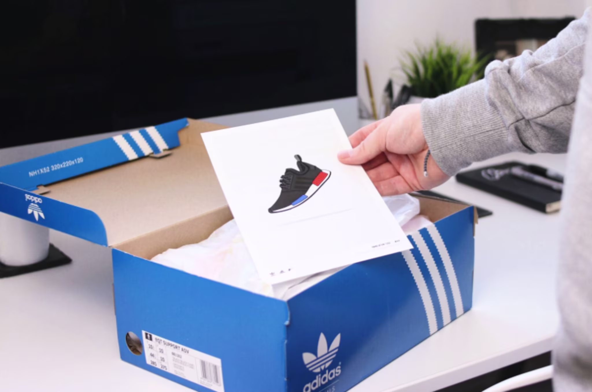 Adidas x Dan Freebairn