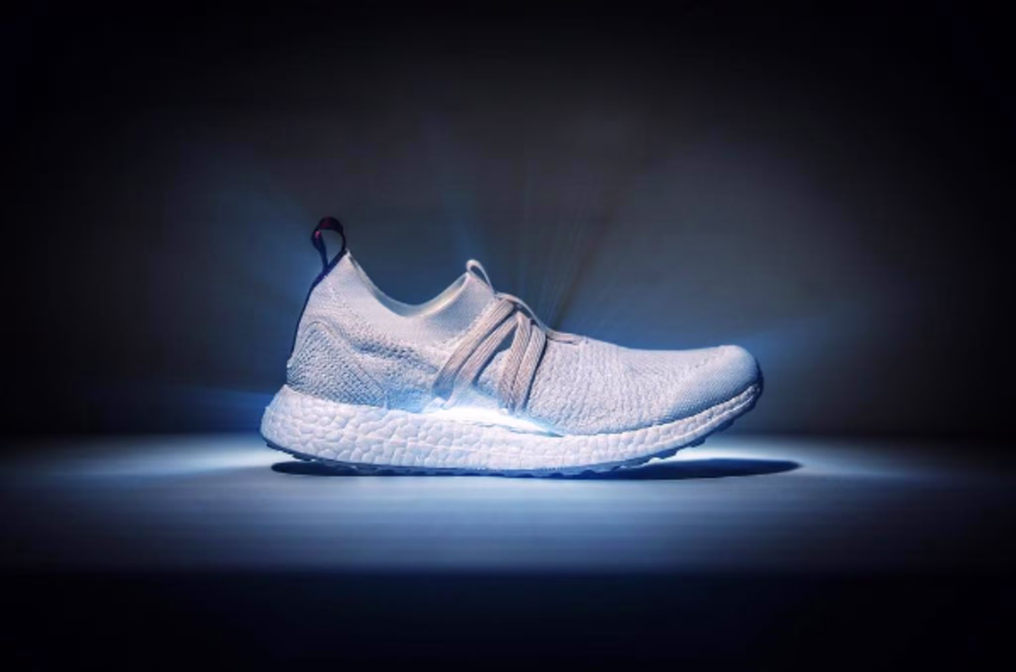 Parley x Stella McCartney x Adidas Pure Boost